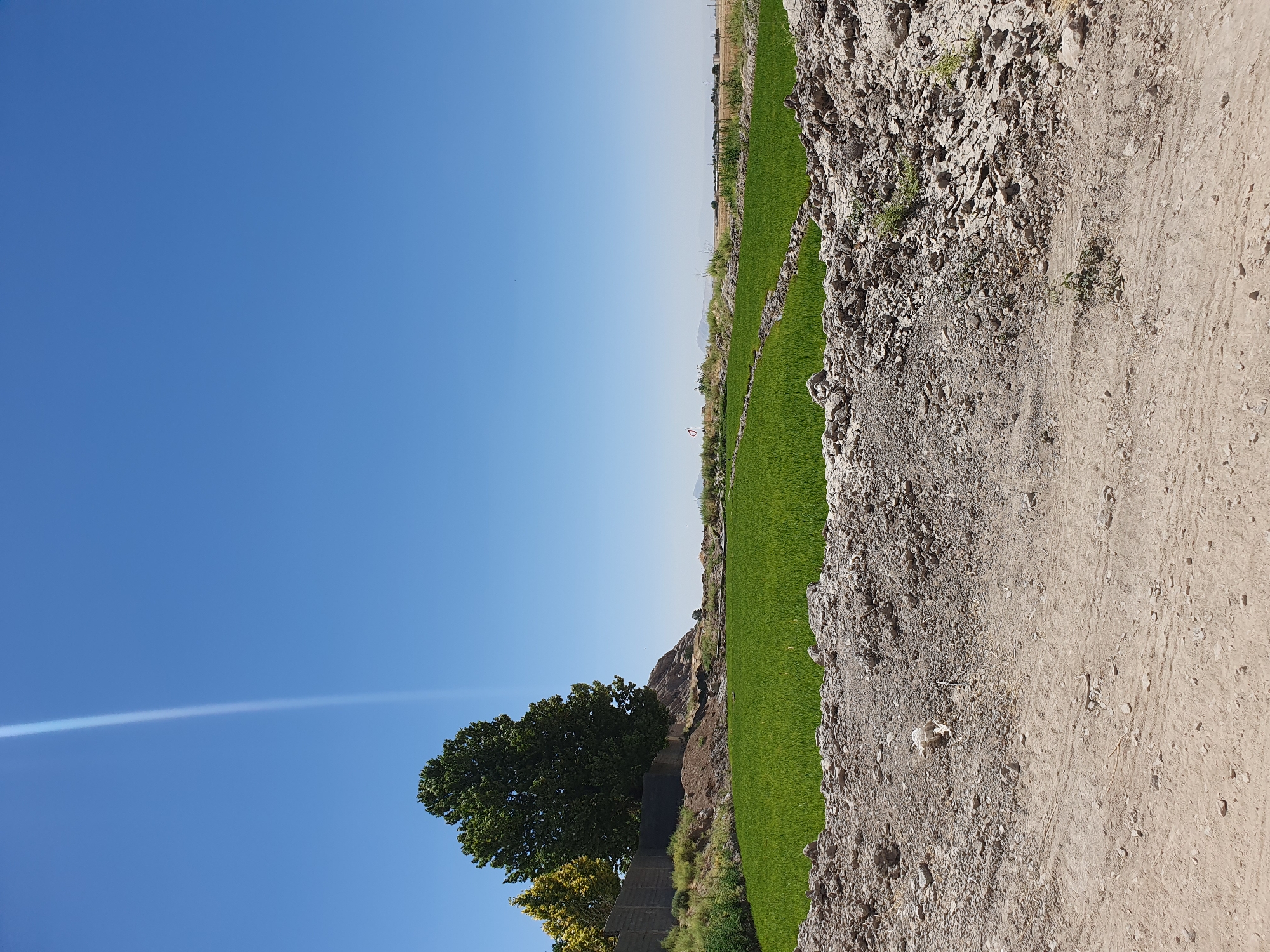 The image depicts a rural scene with a bright blue sky. In the foreground, a dirt path is visible with scattered rocks and dry vegetation. Behind the path, there is a cultivated field of vibrant green crops, possibly rice paddies, bordered by low earthen walls. To the left of the field, a tall, mature tree with lush green foliage stands prominently, with a smaller, yellow-leaved tree beside it. A grey concrete wall runs along the edge of the field, behind which a hillside with rocky outcrops and sparse vegetation can be seen. In the distance, the landscape transitions to dry, golden fields and further off, a hazy horizon suggests rolling hills or mountains. The overall impression is of an agricultural area under a clear, sunny sky. The location is identified as Kheyrabad, Iran.