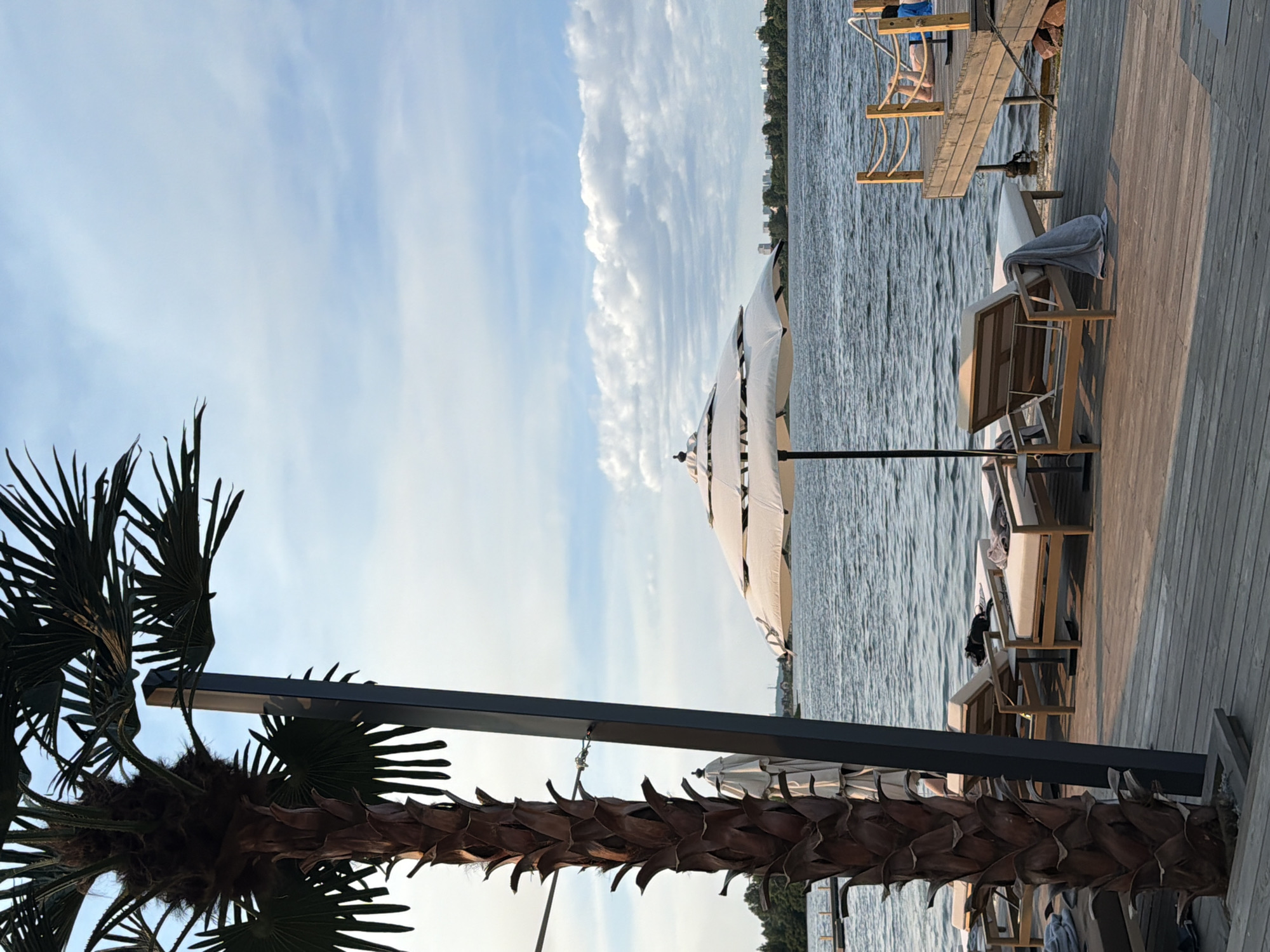 This is a landscape image taken from a wooden deck overlooking a body of water. A palm tree is prominently featured in the foreground on the left, with its fronds arching towards the sky and its textured trunk visible. A dark, modern-looking pole runs vertically through the palm tree, supporting an umbrella.
On the deck, several lounge chairs are arranged, some with towels draped over them. White umbrellas are also visible, providing shade. The water is a deep blue, with gentle ripples on its surface. In the distance, the opposite shore is lined with trees and buildings, suggesting an urban or semi-urban waterfront setting. The sky is a pale blue with wispy white clouds, indicative of fair weather. The lighting suggests it is late afternoon or early evening, with a warm glow on the wooden deck.
The overall scene evokes a sense of relaxation and leisure, likely a resort or a recreational area by the water. There are no visible signs of people actively engaged in an event, but the presence of lounge chairs and umbrellas implies a space for rest and enjoyment. The scene is set in Kyiv, Ukraine.