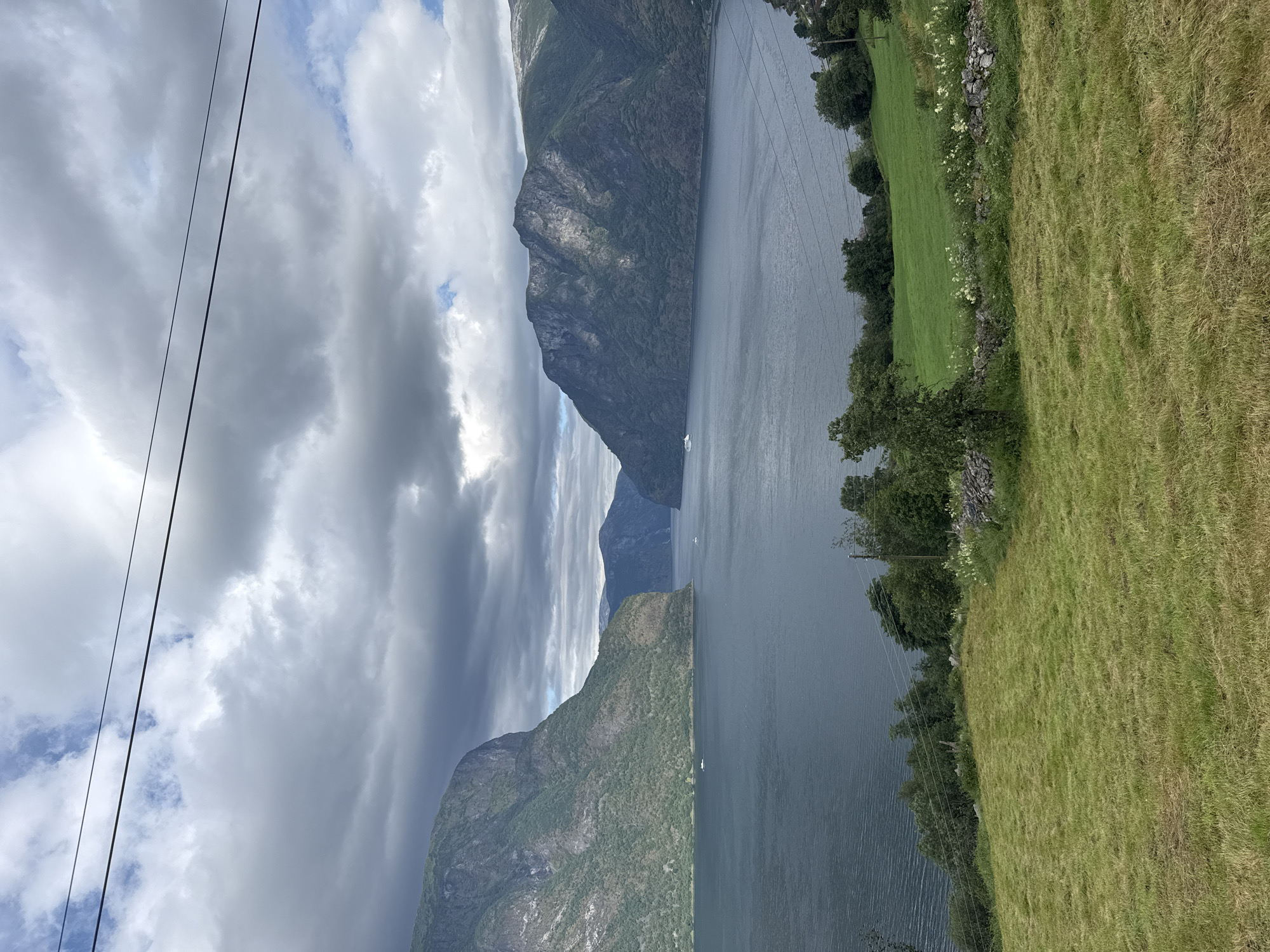 The image depicts a serene fjord landscape in Aurlandsvangen, Norway. Towering green mountains, partially shrouded in dramatic clouds, flank a wide, dark blue fjord. The water's surface is calm, with a few small boats visible in the distance. In the foreground, a vibrant green meadow slopes gently towards the fjord, dotted with wildflowers and a low stone wall. A single tree stands prominently in the middle of the meadow. Power lines stretch across the upper portion of the frame, partially obscuring the sky. The overall impression is one of natural beauty and tranquility.