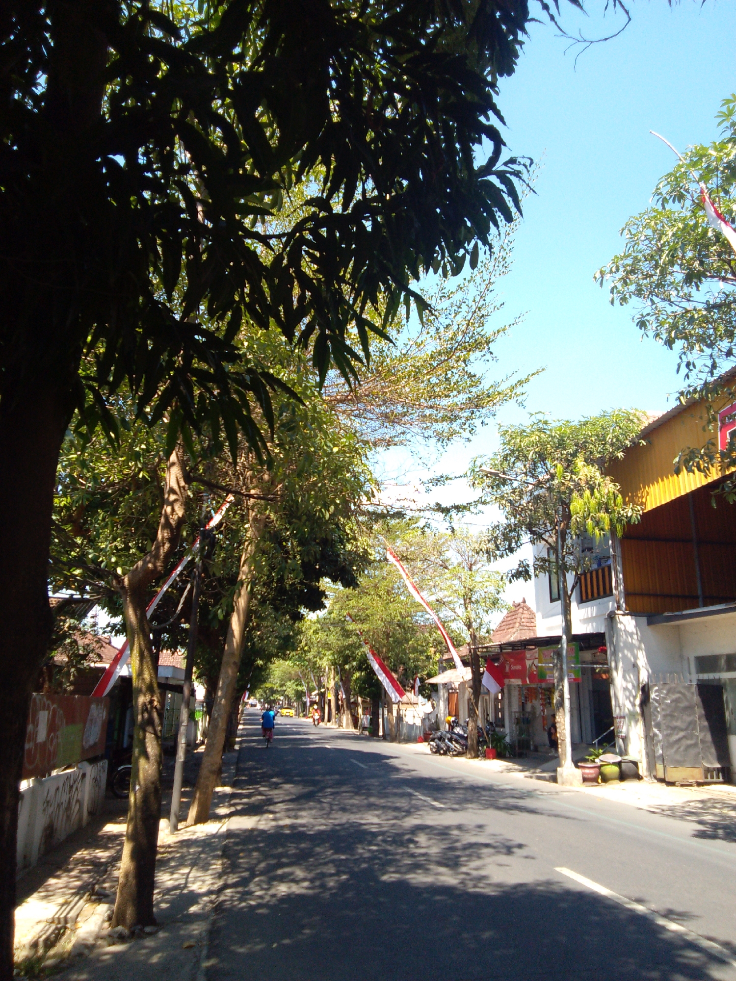 The image depicts a street scene in Trenggalek, Indonesia, under a clear blue sky. The perspective is from street level, looking down a paved road lined with trees and buildings. Several Indonesian flags, red and white, are visible, hung from poles and across some buildings, suggesting a festive or patriotic occasion.
On the left side of the road, there is a sidewalk with a low wall and some vegetation. The wall is decorated with graffiti. Trees with dense foliage cast shadows on the sidewalk and the road, indicating it is daytime. A dark-colored motorcycle is parked near the sidewalk. Further down the street, a person is riding a bicycle, wearing a blue shirt. On the right side of the road, there are several buildings with visible storefronts. One building has a yellow facade and a corrugated metal roof extension. Another building is white with an open-air section. There are potted plants in front of some of the buildings.
The road itself is asphalt, with a white line marking the lane. In the distance, more trees and buildings are visible, and a yellow vehicle is present. The overall impression is of a moderately busy street in a town or city.