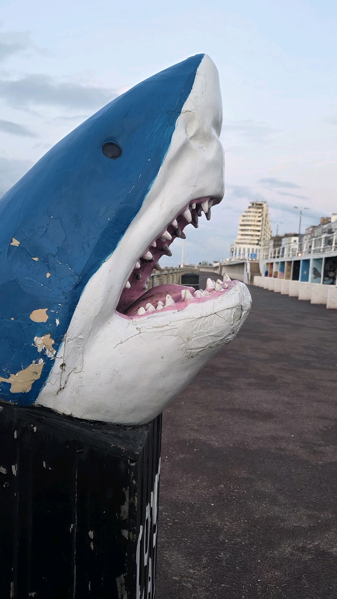 A close-up, low-angle outdoor shot depicts the head of a large, blue and white shark sculpture with its mouth open, revealing pink gums and sharp white teeth. The sculpture is mounted on a dark, weathered rectangular base. The background features a paved walkway with a row of colorful beach huts or cabins on the right, and buildings in the distance under a cloudy sky. The location is identified as St Leonards, United Kingdom. The scene appears to be a promenade or esplanade.