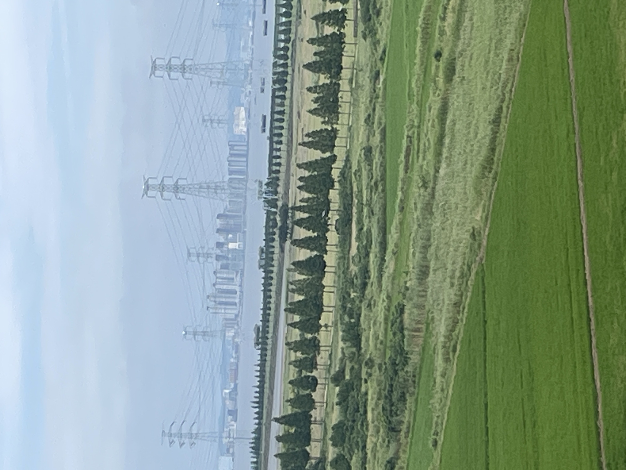 The image captures a panoramic view of a landscape with agricultural fields in the foreground and a city skyline with industrial elements in the background. In the immediate foreground, vast expanses of vibrant green fields are visible, suggesting a rural or agricultural setting. These fields are divided by narrow pathways, creating a geometric pattern.
Moving further back, a line of tall, conical trees forms a distinct boundary, separating the cultivated fields from a body of water. Beyond the trees and water, a city skyline emerges, characterized by numerous tall buildings that form a dense urban area. Dominating the skyline are several large electricity pylons, tall metal structures that support high-voltage power lines, indicating the presence of significant electrical infrastructure. The sky above is hazy and overcast, with a light blue hue, suggesting a possibly humid or polluted atmosphere. The overall scene depicts a transition from agricultural land to an industrial and urbanized environment, with elements of nature, human development, and infrastructure intermingled. The specific location within Ansan, South Korea, is indicated by the presence of these distinct urban and industrial features, commonly found in areas near major cities and coastlines.