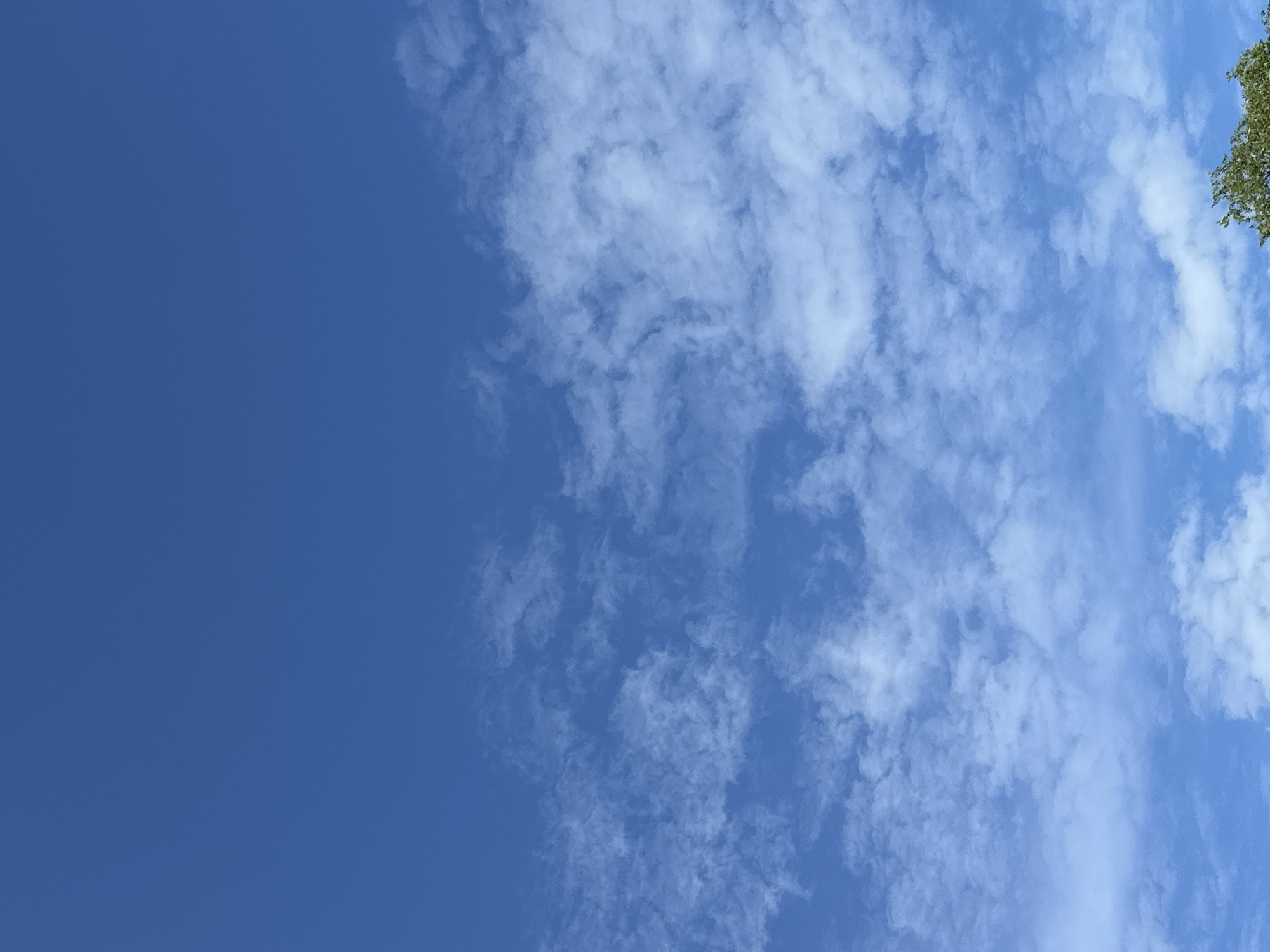 The media file is a photograph of the sky, taken from a low angle, looking upwards. The scene is dominated by a clear, bright blue sky, with scattered white clouds. The clouds are wispy and appear to be thin, suggesting a partly cloudy day. The sunlight is diffused, indicating it is likely daytime, though the exact time is indeterminate.
In the upper right corner of the image, a small portion of green foliage is visible, suggesting the presence of trees or other vegetation at the edge of the frame. This detail provides a subtle hint of an outdoor, natural setting. There are no people or man-made objects visible in the image. The overall mood conveyed by the image is peaceful and serene, evoking a sense of openness and natural beauty. No text is visible in the media file.