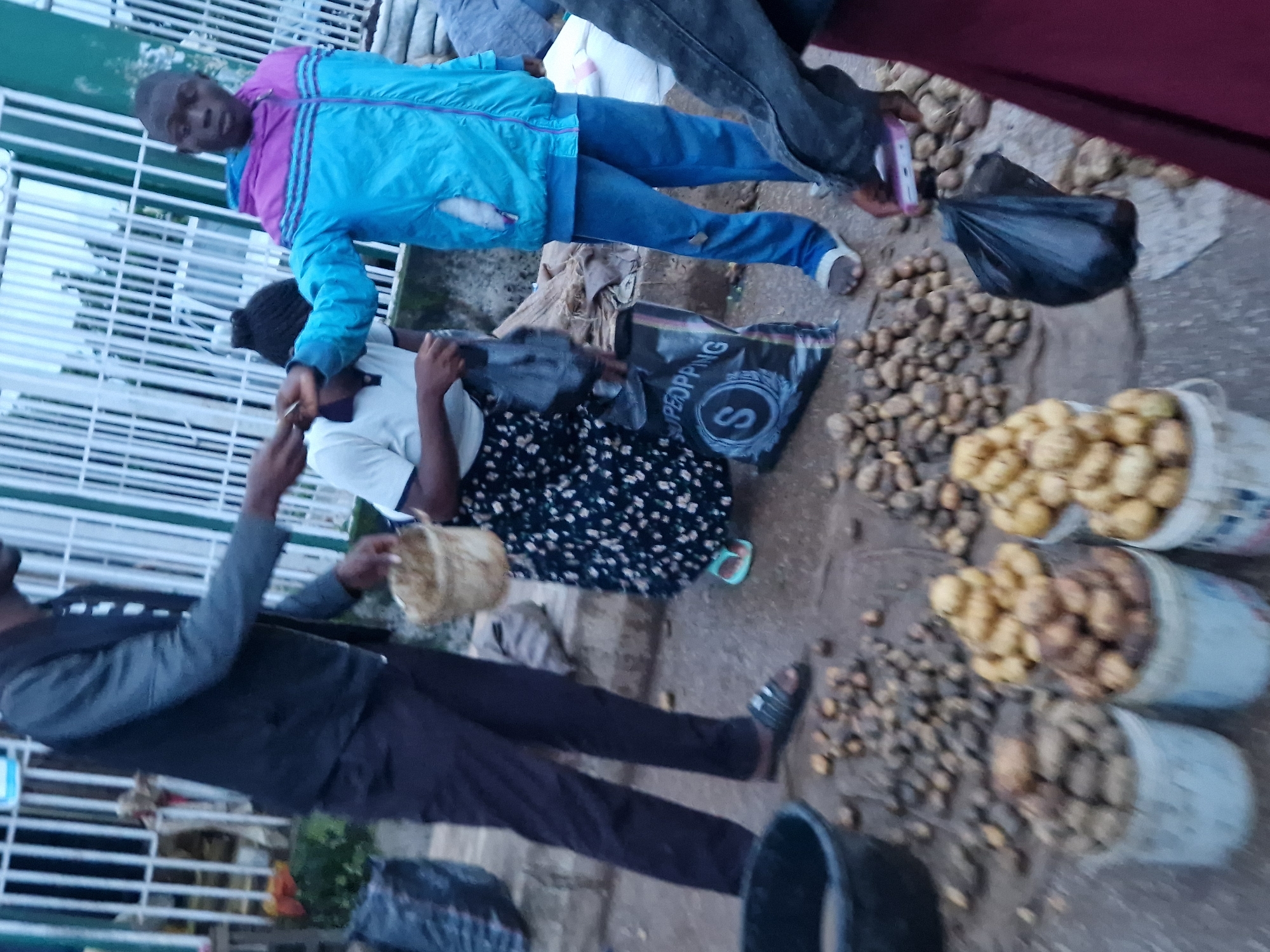 The image depicts an outdoor scene, likely a marketplace, with several individuals present. In the foreground, multiple buckets filled with potatoes are arranged on the ground. Scattered around these buckets are loose potatoes. To the left, a large black bucket is visible. Behind the buckets, a person wearing dark pants and a dark jacket is holding a woven basket with one hand while reaching out with the other. A person in a white shirt and a patterned skirt is standing next to them, also holding something. To the right, a young person wearing a blue and purple jacket and blue pants is interacting with another person. Several dark plastic bags are also present in the scene. The ground appears to be wet and uneven, suggesting it may have recently rained. The background shows a fence with vertical bars. The scene is consistent with a market stall in Kabong, Nigeria.