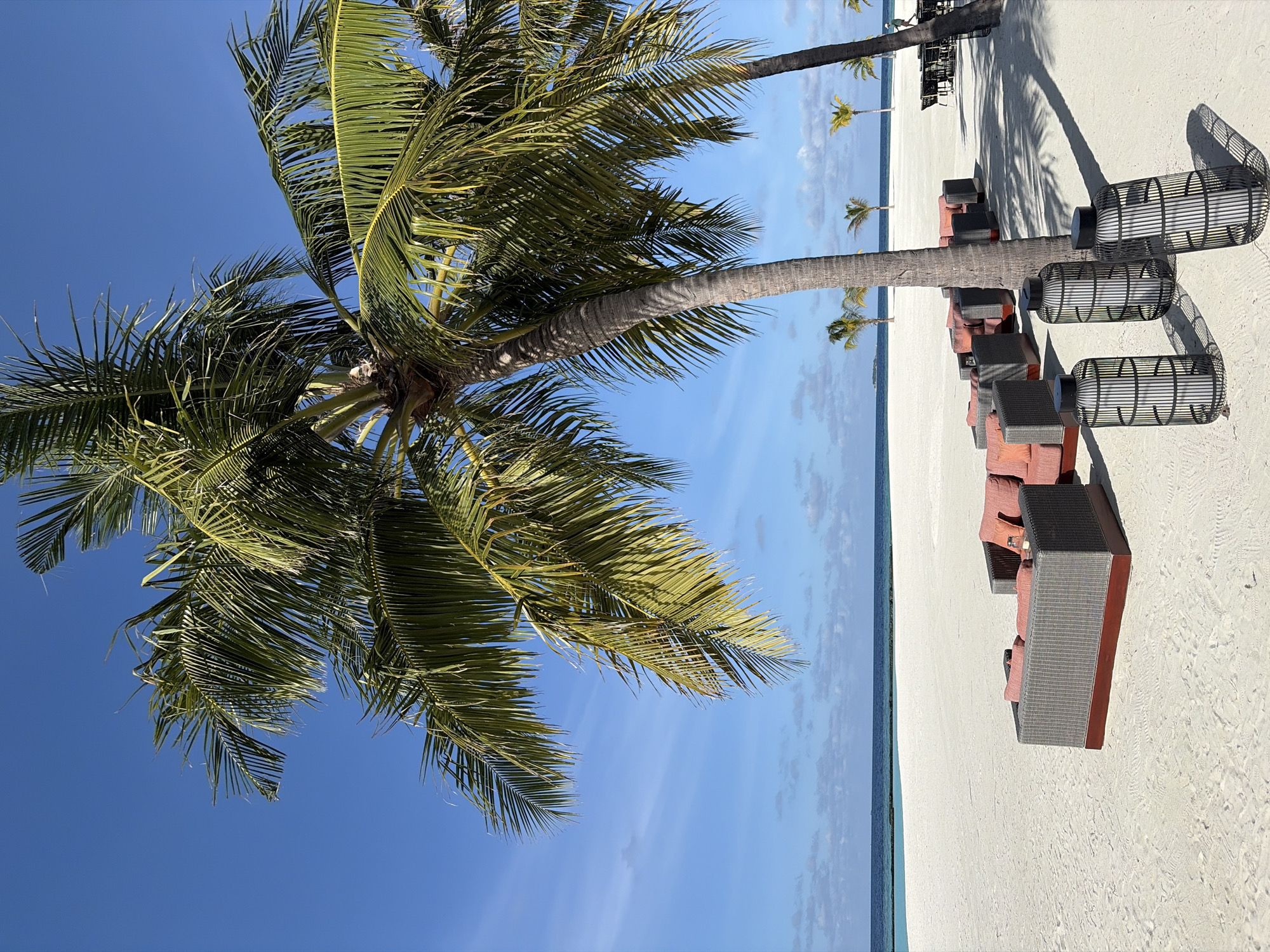 A scene on the beach in Halaveli, Maldives, depicts a row of dark gray outdoor sofas with coral-colored cushions arranged on pristine white sand. In the foreground, three black cylindrical lanterns with open cage designs are placed on the sand, casting shadows. A large palm tree with green fronds dominates the right side of the image, with its trunk casting a distinct shadow across the sand and furniture. In the background, the turquoise ocean meets the horizon under a clear blue sky with scattered white clouds. Several other palm trees are visible further down the beach, along with a few distant figures and outdoor dining tables and chairs.