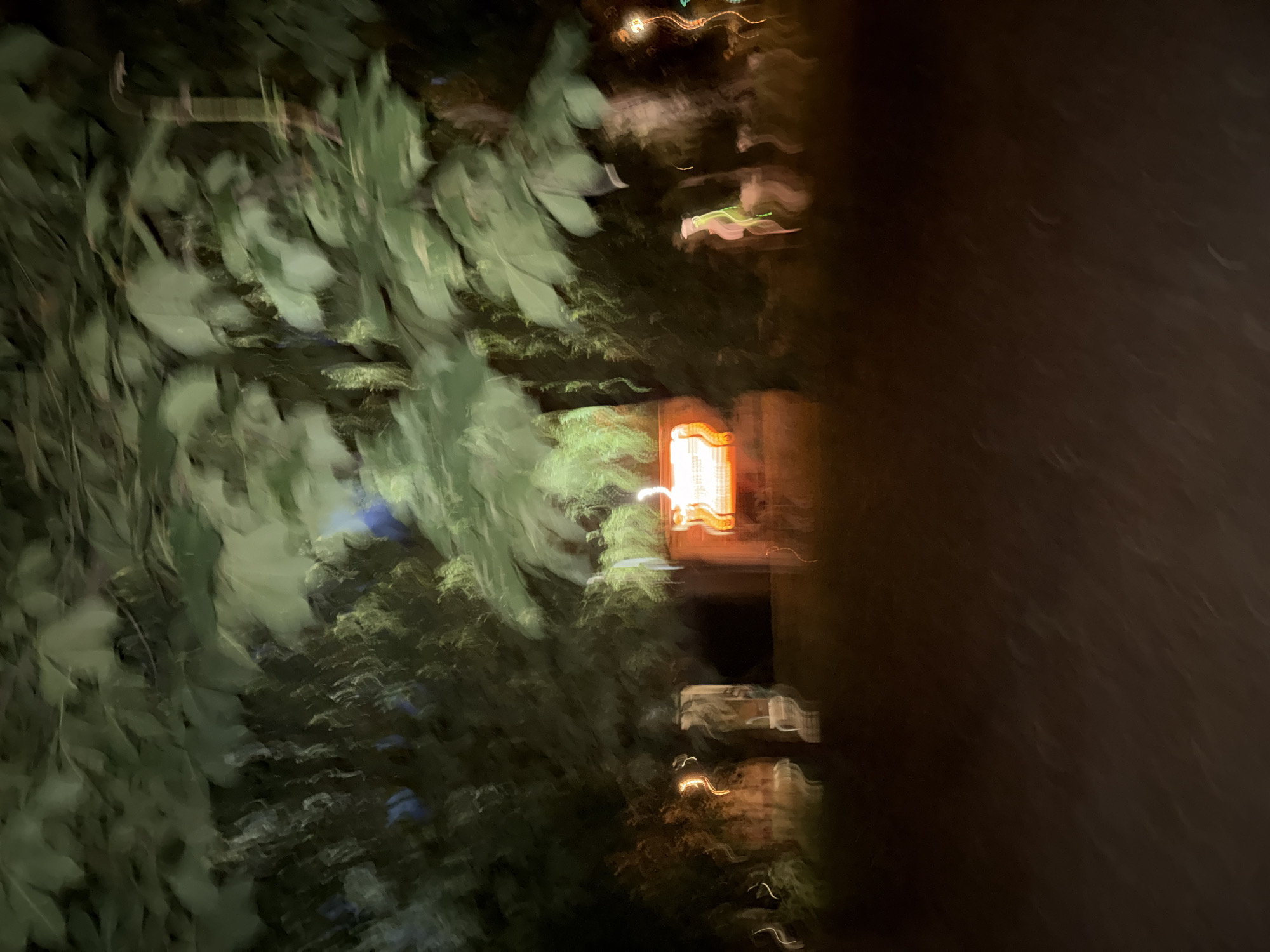 The image depicts an outdoor scene at night, characterized by motion blur. Lush green foliage dominates the upper portion of the frame, suggesting trees or dense bushes. In the mid-ground, a brightly lit orange object, possibly a lamp or sign, is visible, emitting a warm glow. To the left of this object, there are hints of brick structures. The lower part of the image is dark, with indistinct shapes that could be a pathway or ground. The overall impression is one of movement and an ethereal ambiance due to the long exposure or camera shake. The specific location within the city of Unknown is not discernible.