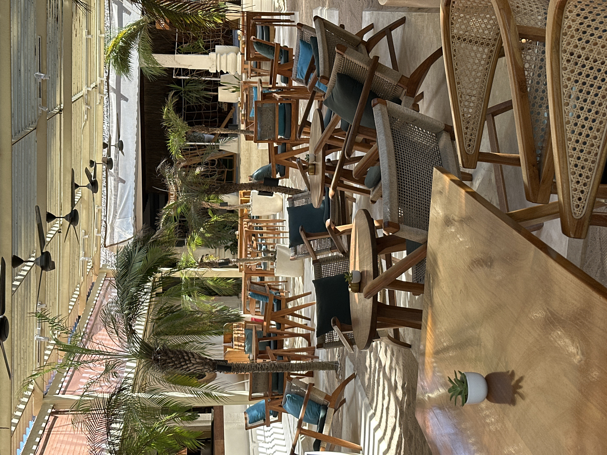 The image depicts an outdoor seating area of a cafe or restaurant, possibly located in Denpasar, Indonesia, given the tropical vegetation. The scene is characterized by numerous tables and chairs made of wood and rattan, arranged on a sandy floor. Several palm trees are interspersed throughout the area, some reaching towards the ceiling which is covered with a white, slatted awning structure. Multiple ceiling fans are visible, suggesting a warm climate. Sunlight casts dappled shadows on the sand and furniture, creating a relaxed and inviting atmosphere. There are no people visible in the image. The furniture includes lounge chairs with cushions and dining tables. A small potted succulent plant sits on a wooden table in the foreground. In the background, more tables and chairs are visible, along with some architectural elements such as columns and white structures. The overall impression is one of an open-air, tropical-themed establishment.