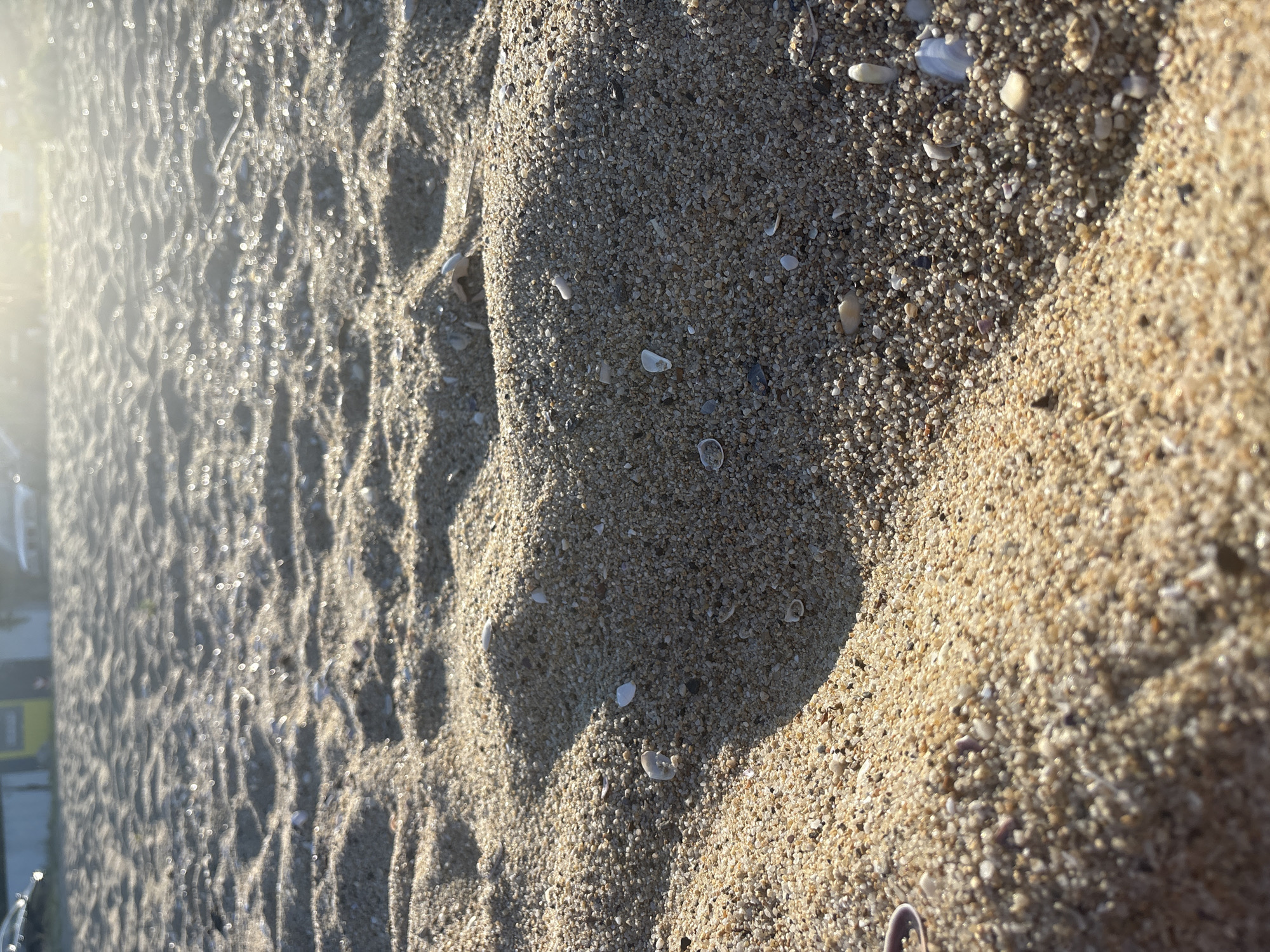 The image shows a close-up, eye-level view of wet sand on a beach. The sand is composed of small grains and tiny shell fragments. In the foreground, the sand is illuminated by bright sunlight, creating sparkling reflections on its surface. In the background, the sand is textured with wavy patterns, likely formed by receding water or footprints. These patterns cast shadows, suggesting the sun is at a low angle, indicating either early morning or late afternoon. The overall mood is serene and peaceful, evoking the feeling of a quiet beach scene. There is no visible text in the image.