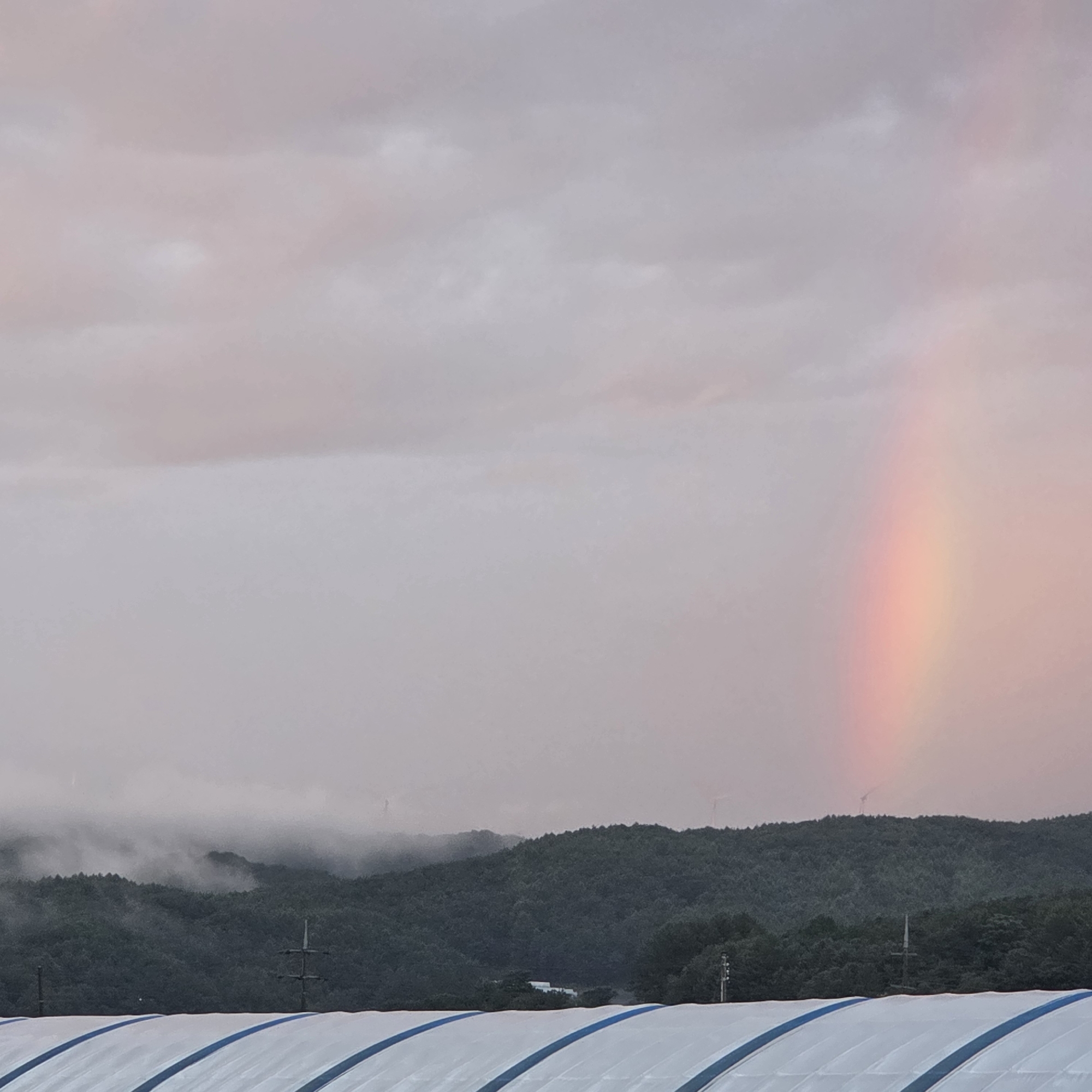The image depicts a landscape scene in Dunnae-myeon, South Korea. In the foreground, the white, curved roof of a structure with blue stripes is visible, suggesting a greenhouse or similar agricultural building. Behind this structure, a dense, dark green forest covers rolling hills. Some mist or fog is present, partially obscuring the hills and creating a soft, diffused light. In the sky, a faint rainbow arcs across the upper right portion of the frame, with soft pink and yellow hues. The sky itself is overcast with pale pink and gray clouds. The overall atmosphere is serene and slightly moody due to the weather conditions.