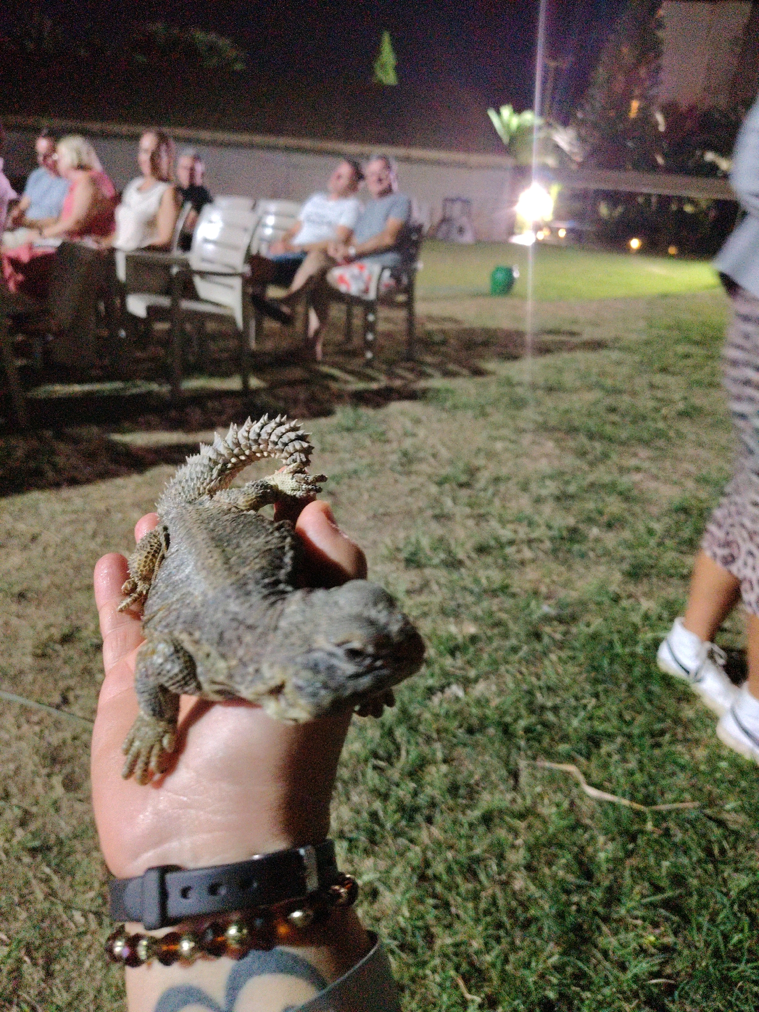 An outdoor evening scene shows a person's hand holding a spiny lizard. The hand has a black watch and beaded bracelets. A tattoo is visible on the person's wrist. In the background, several people are seated on chairs on a grassy area, with some trees and lights suggesting a nighttime gathering. The location is identified as Yasmine Hammamet, Tunisia.