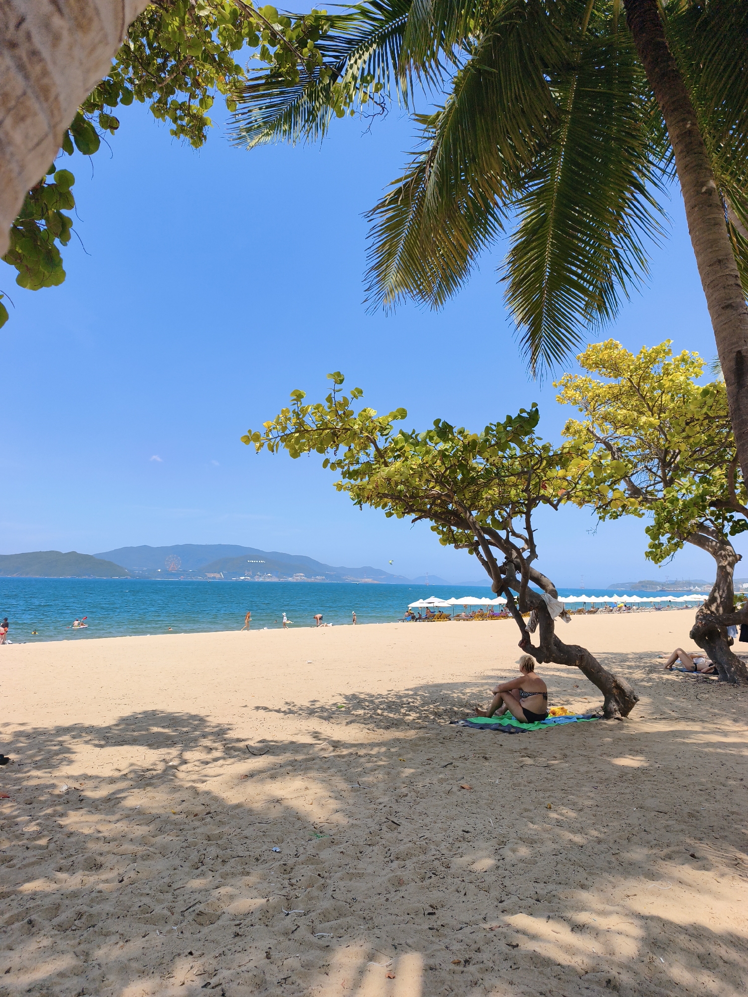 The image shows a panoramic view of a sandy beach in Nha Trang, Vietnam, under a clear blue sky. In the foreground, a sandy beach stretches out, partially shaded by the leaves of palm trees and other foliage. Several people are visible on the beach and in the ocean. In the middle ground, there are rows of white beach umbrellas and lounge chairs. The turquoise ocean meets the sandy shore, with distant hills forming the horizon. On the beach, a woman in a bikini is sitting under a tree. Another person lies on a towel in the background. The scene depicts a typical day at the beach, with people relaxing and enjoying the sunny weather.