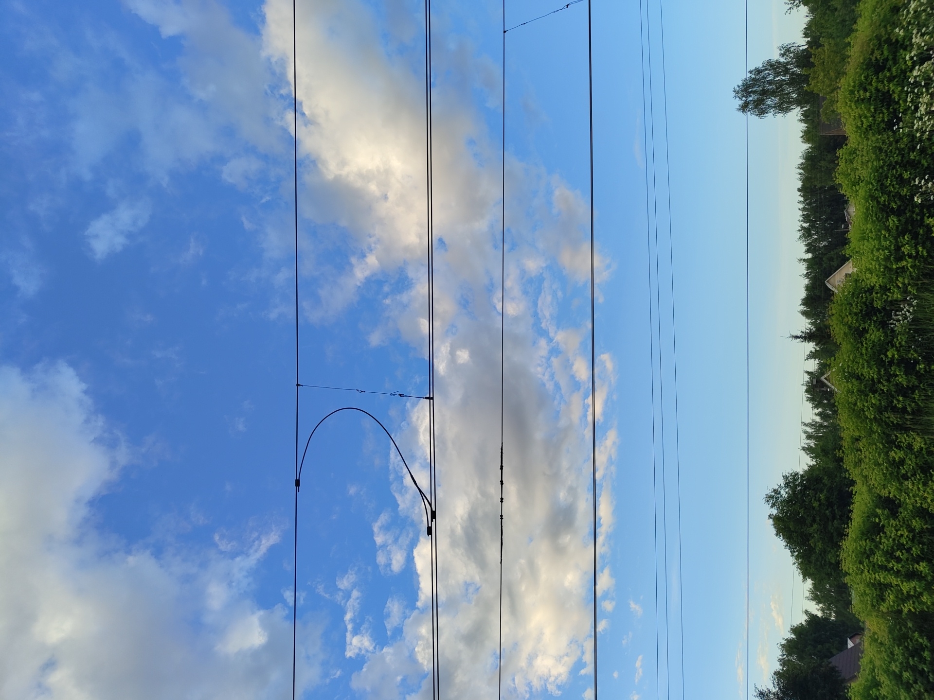 This is a landscape photo taken in Tsibino, Russia. The image features a bright blue sky with scattered white clouds, suggesting it is daytime, likely late afternoon or early evening due to the warm tones in some of the clouds and the soft lighting on the foliage. The scene is divided by multiple parallel overhead wires, likely for an electric railway or power lines, which run vertically through the frame.
On the right side of the image, a dense line of lush green trees and bushes forms the horizon. Several small, peaked rooftops of houses are visible peeking through the foliage, indicating a residential area or a village. A single, distinct tree with drooping branches stands out amidst the greenery. The overall atmosphere is peaceful and natural, with the man-made element of the wires contrasting with the organic landscape. No people are visible in the image. There is no visible text.