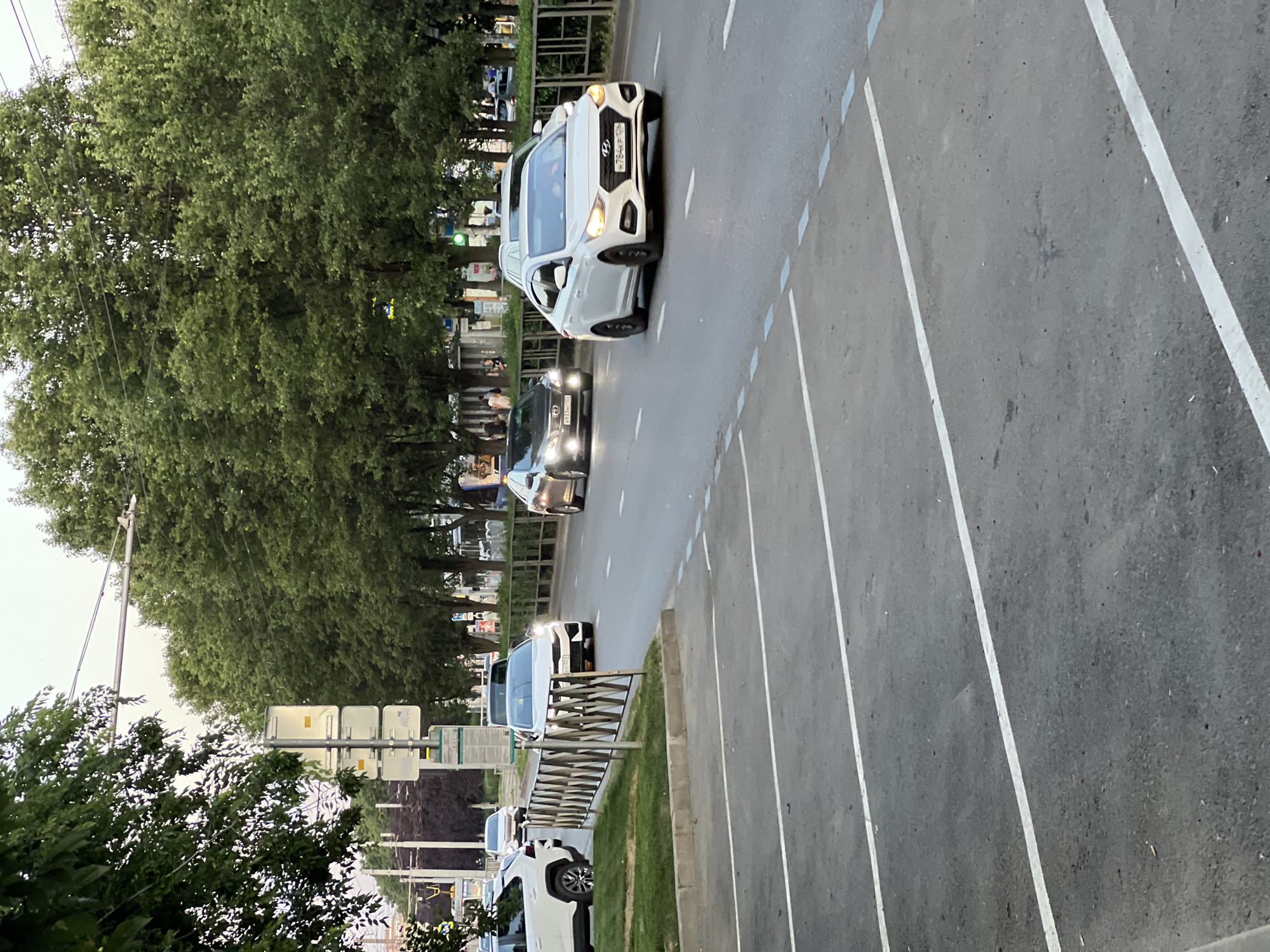 The image depicts a street scene in Krasnodar, Russia, likely during daylight hours as indicated by the general illumination and clear visibility. The foreground features an asphalt parking lot with distinct white lane markings. Beyond the parking lot, a paved road is visible with several vehicles in motion. A white Hyundai Solaris is in the right lane, its headlights illuminated, with the license plate H784KP 102. To its left, a dark-colored sedan, possibly a Toyota Camry, is also in motion with its headlights on, bearing the license plate A933MO 150. Further back, a white sedan and a white SUV are also on the road. The background is dominated by a row of mature trees with dense green foliage, suggesting a park or a tree-lined boulevard. A metal fence runs along the side of the road, separating it from a grassy area. Street signs and traffic signals are visible among the trees. People are sparsely present, with a few individuals walking on the sidewalk behind the trees. The overall atmosphere is that of a typical urban environment during daytime.