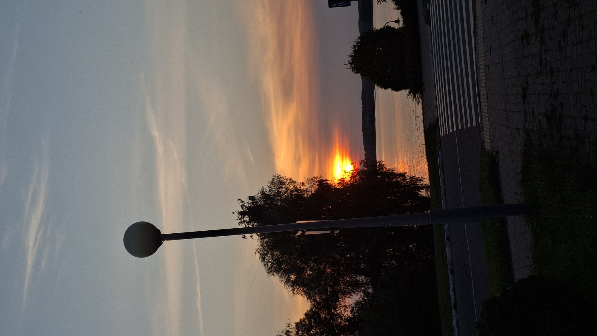A vertical shot captures a sunset over a lake in Myadzyel, Belarus. The sun, a bright orange orb, is partially obscured by a silhouetted tree on the left, casting a warm glow across the water and the sky. The sky displays a gradient of soft blues and oranges from the sunset, with wispy clouds. In the foreground, a modern streetlamp with a spherical head stands on the left, its dark pole a stark contrast against the sky. A paved road with a white-lined pedestrian crossing runs horizontally across the bottom of the frame. Trees and foliage are visible along the lake's edge and in the foreground. The overall scene depicts a peaceful evening in a lakeside town.