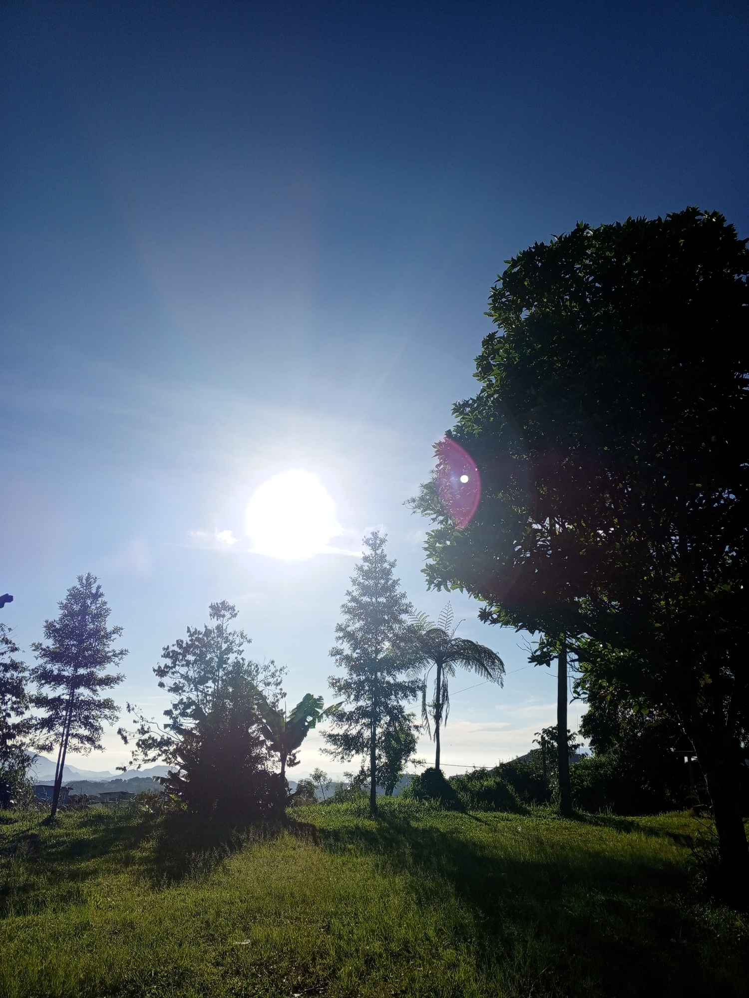 The image depicts a sunny landscape, likely in Kudawa, Sri Lanka, based on the location information. The sky is a clear, vibrant blue, with the sun prominently positioned, emitting a strong glare. In the foreground, there is a grassy area, indicating a field or park. Several trees of varying sizes and types are scattered throughout the scene, silhouetted against the bright sky. Some buildings are visible in the distance.