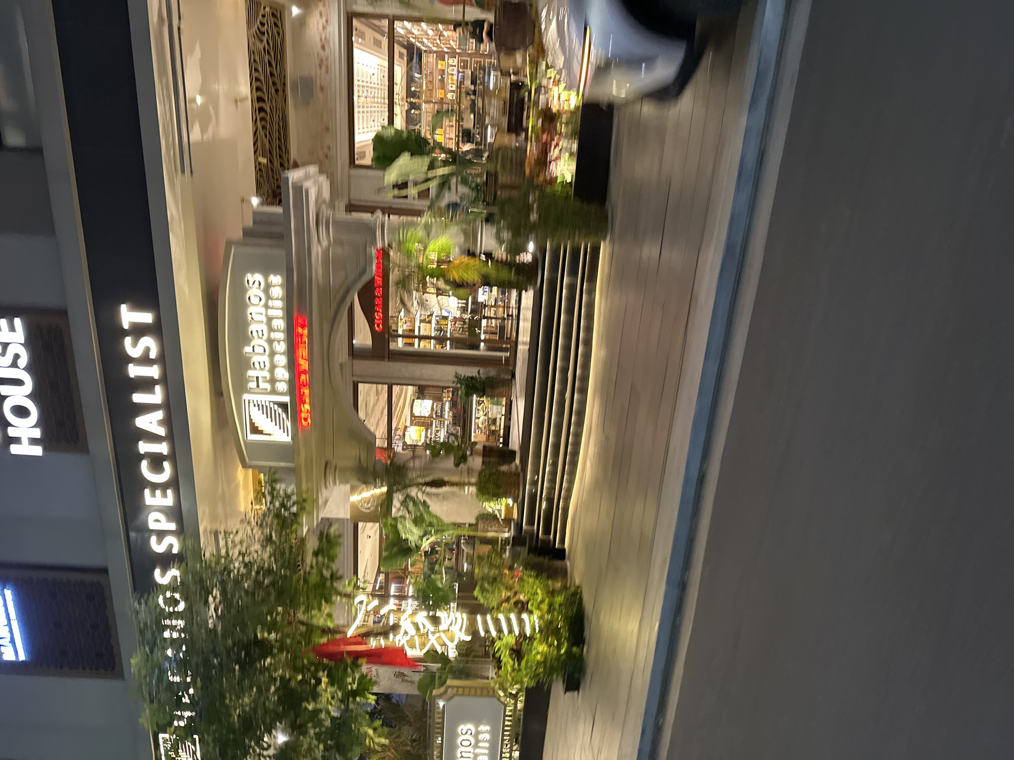 The image shows the exterior of a business in Nha Trang, Vietnam, likely at night. A prominent sign reads "HABANOS SPECIALIST" in illuminated white lettering. Below this, a smaller sign displays "CIGAR & WHISKY" in red lettering. The building appears to have large glass windows revealing shelves stocked with bottles and other items. Several potted plants and trees are visible in front of the entrance. A white car is partially visible on the right side of the frame, suggesting the photo was taken from a moving vehicle or a street-level perspective. The overall impression is a well-lit, upscale establishment.