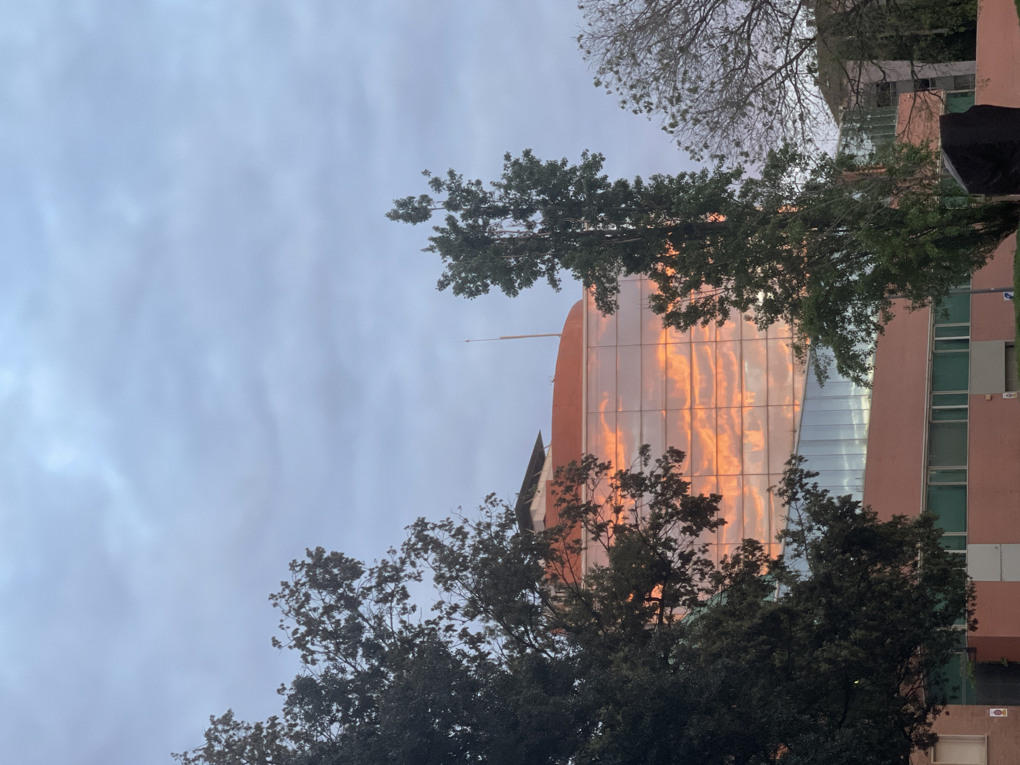 The image captures the sunset reflected on the glass facade of the Universitat Politècnica de Catalunya (UPC) campus in Terrassa, Spain. Trees in the foreground partially obscure the view of the building, while the sky is overcast with clouds. The building has a pink/orange color on the right.