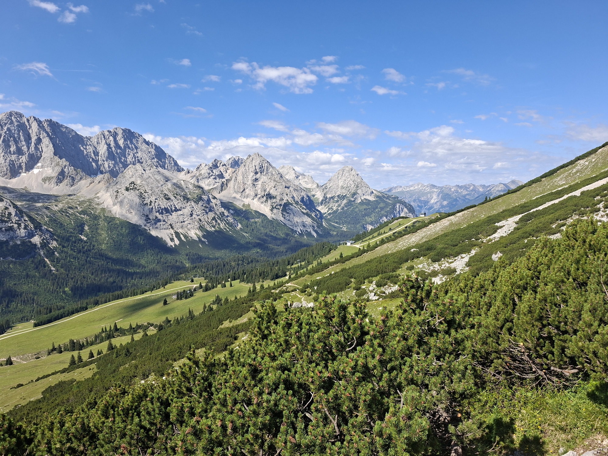 The image depicts a mountainous landscape in Mieming, Austria. The foreground is dominated by lush green pine trees, some of which show small cones. Beyond the pine trees, a steep, grassy slope descends into a valley. The valley floor is a vibrant green meadow dotted with scattered pine trees and a winding white path. Further in the distance, a range of rugged, rocky mountains rises against a bright blue sky dotted with white clouds. A building, possibly a mountain hut or observatory, is visible on the slope in the middle distance. The overall scene is one of natural beauty and tranquility, characteristic of the Alps.