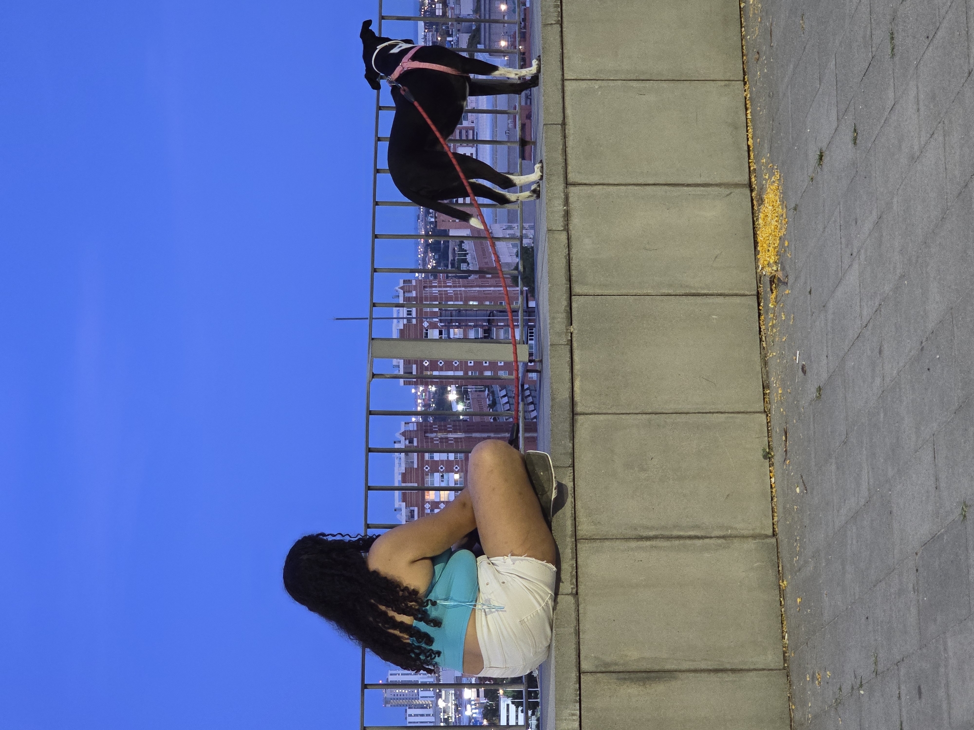 A person with dark, curly hair, wearing a turquoise crop top and white shorts, sits with their back to the camera on a concrete ledge, facing a city skyline at dusk. A black and white dog on a pink and red leash stands to their right, also facing the skyline. The dog has white markings on its paws and tail. The background features buildings illuminated by artificial lights, under a clear blue sky. The ledge is made of large concrete blocks, and the ground in front of it is paved with gray interlocking stones, with scattered yellow debris.
