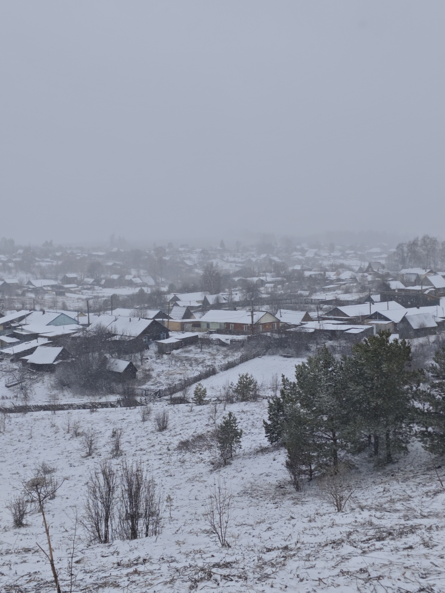 The image depicts a winter scene in Фоки, Russia. A village is visible, with houses and buildings covered in snow. The sky is overcast and gray, suggesting a heavy snowfall. The foreground shows a snow-covered field with scattered trees and shrubs.