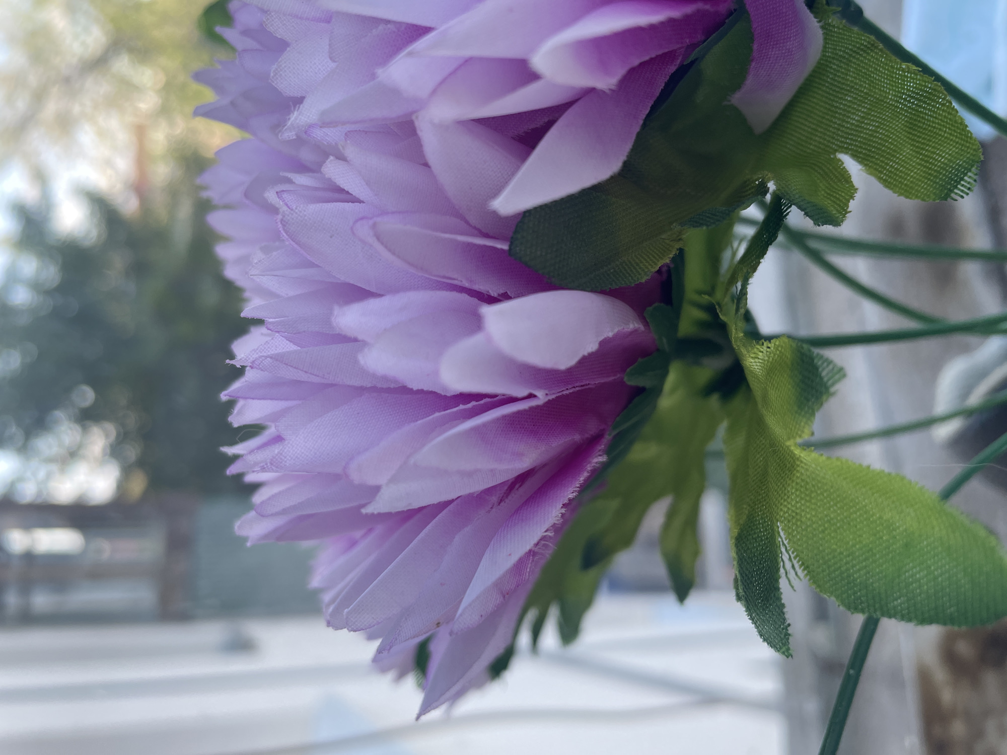 A close-up, low-angle shot features the vibrant purple petals of a synthetic flower, possibly a dahlia or chrysanthemum, against a blurred background of a window and an outdoor scene. The flower's pointed petals, made of fabric, exhibit subtle fraying along their edges. Green fabric leaves are visible at the base of the flower, attached to thin green stems that extend downwards. The background includes a vertical white object, likely a curtain or blind, to the left, and beyond that, a muted view of trees and structures with soft, out-of-focus bokeh lights. The overall lighting suggests it is daytime, with natural light filtering in from the window. The scene appears to be set indoors, near a window.