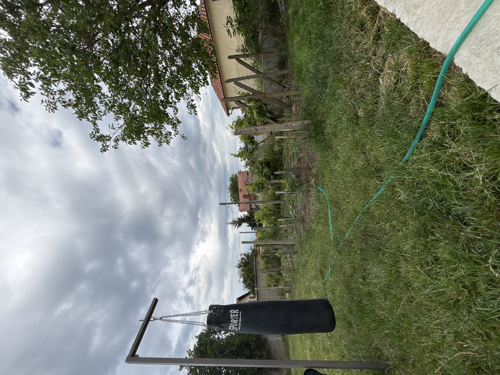 The image shows a backyard scene in an unknown location. A black punching bag hangs from a metal frame in the foreground. A green garden hose lies on the grass. In the background, there is a house with a red roof and a fence. The sky is cloudy. A tree branch with green leaves is visible in the upper left corner of the image.