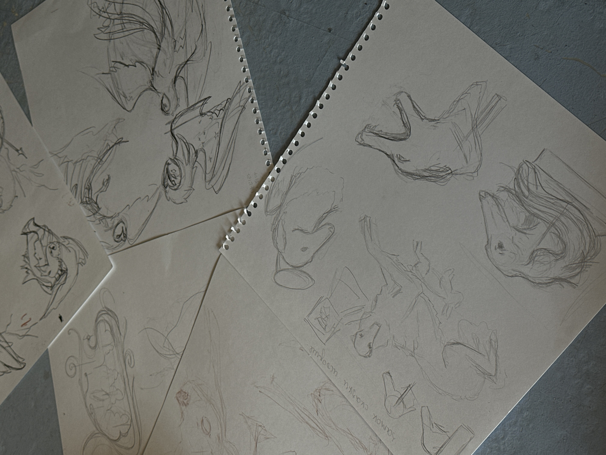 The image displays a collection of loose sketches on pale, textured paper, arranged haphazardly on a dark, textured surface. The sketches, executed in pencil, feature a variety of subjects, including animalistic figures, possibly dragons or mythological creatures, and what appear to be studies of dog breeds. One sketch depicts a creature with wings and a stylized head with sharp teeth. Another shows what looks like a Borzoi or a similar long-snouted dog. There are also sketches of a seated dog, a dog's head in profile with flowing fur, and a creature with an open mouth. Some of the sketches are overlapping. The paper has a visible binding edge with punched holes along the top, indicating it may be from a sketchbook. The lighting suggests an indoor environment, potentially a studio or an artist's workspace. The context of Chernyakhovsk, Russia, is not directly evident from the visual information in the image itself.