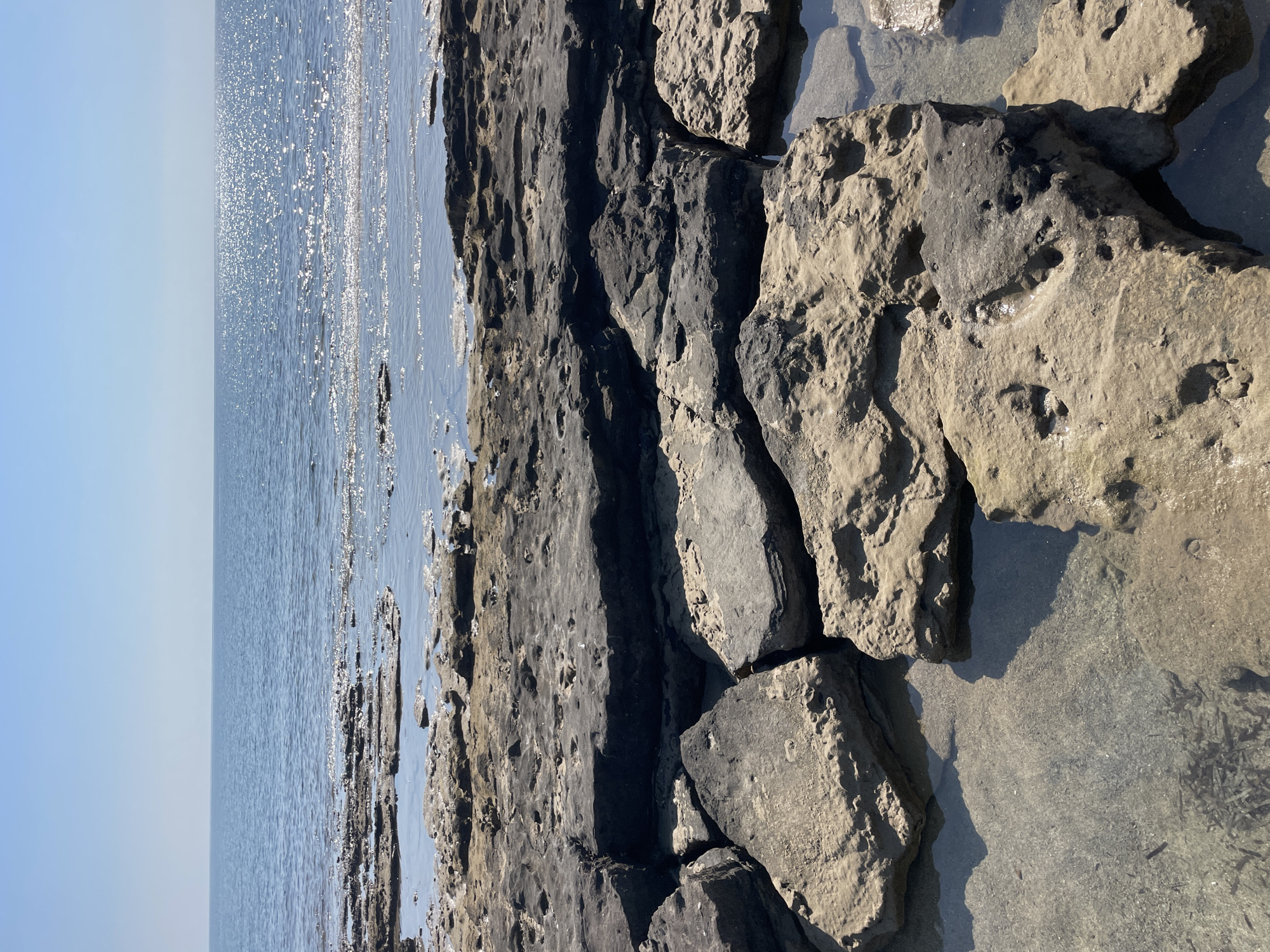 A close-up, eye-level shot shows the rocky shoreline of Spathariko, Northern Cyprus. The foreground is dominated by large, weathered rocks, some dark and jagged, others lighter and more rounded, with a shallow pool of clear water reflecting the sky and rocks. These rocks are irregularly shaped and cracked, with visible textures and indentations. In the middle ground, more rocks emerge from the water, creating a textured, uneven barrier between the shore and the sea. The sea itself occupies the upper portion of the image, appearing calm and a deep blue. Sunlight glints off the water's surface, creating a shimmering effect. The sky is a clear, pale blue, with no clouds visible. The scene is devoid of any people or man-made structures, presenting a natural, coastal landscape.