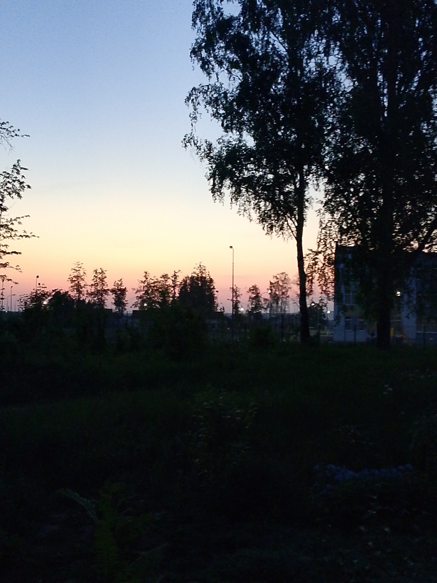 The image shows a twilight scene, likely in the city of Chaikovsky, Russia. The sky transitions from blue at the top to a pale orange and pink near the horizon, indicating sunset or sunrise. Silhouetted trees are prominent in the foreground. A building with lit windows can be partially seen. Streetlights are also visible in the distance. The foreground features dark, dense vegetation. No people are visible.