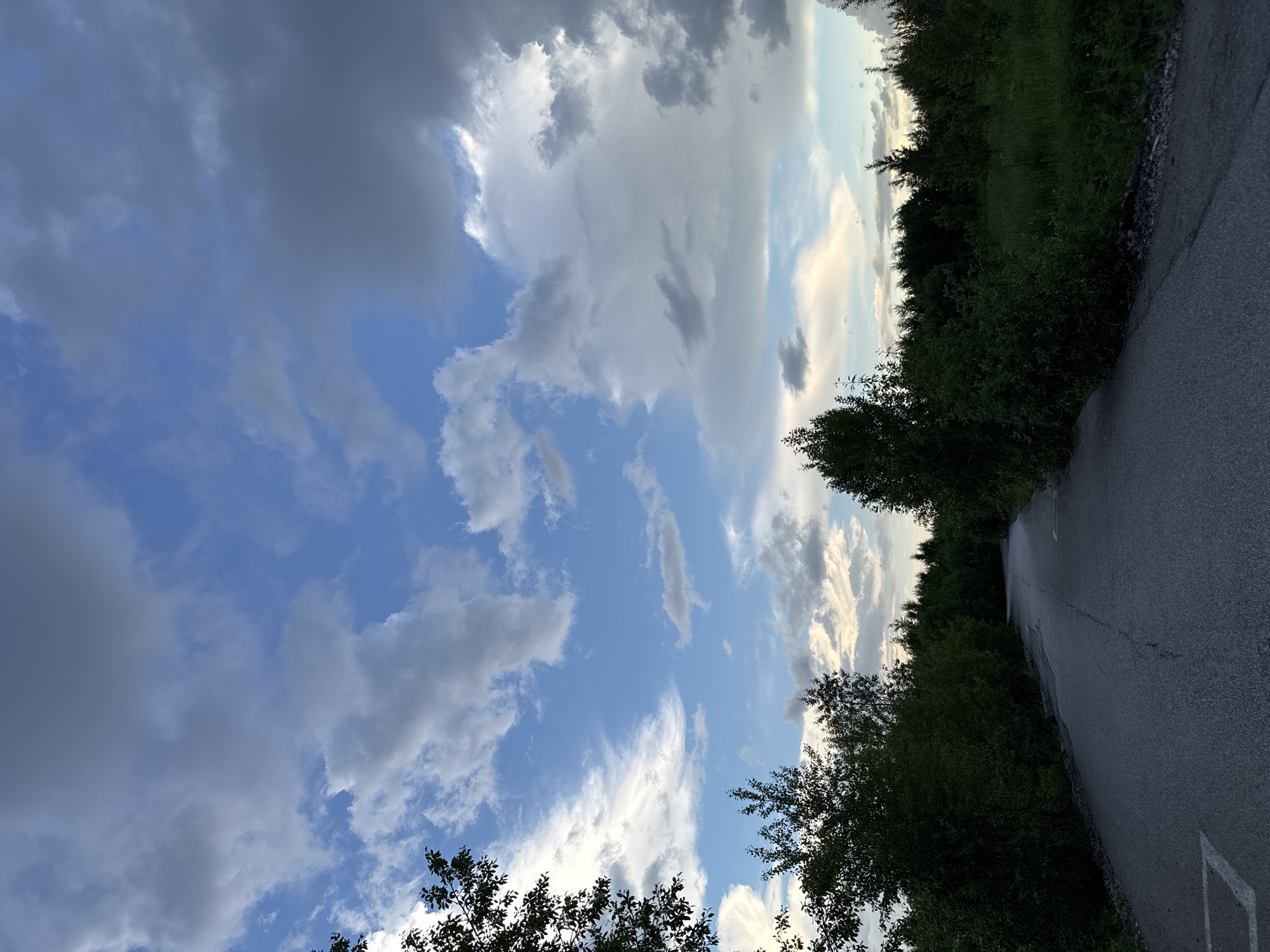 The image depicts a rural road winding through dense, dark green foliage under a dramatic sky filled with a mixture of blue sky and heavy, dark clouds. The road is asphalt with visible cracks and a faint white marking on the left side. The trees are tall and dense, creating a tunnel-like effect with shadows cast across the road. The light suggests either early morning or late evening. The location is the city of Perm, Russia. There are no people or animals visible in the image, and no actions are taking place. The environment is characterized by natural growth and a weathered road, indicating a secluded or less-traveled area.