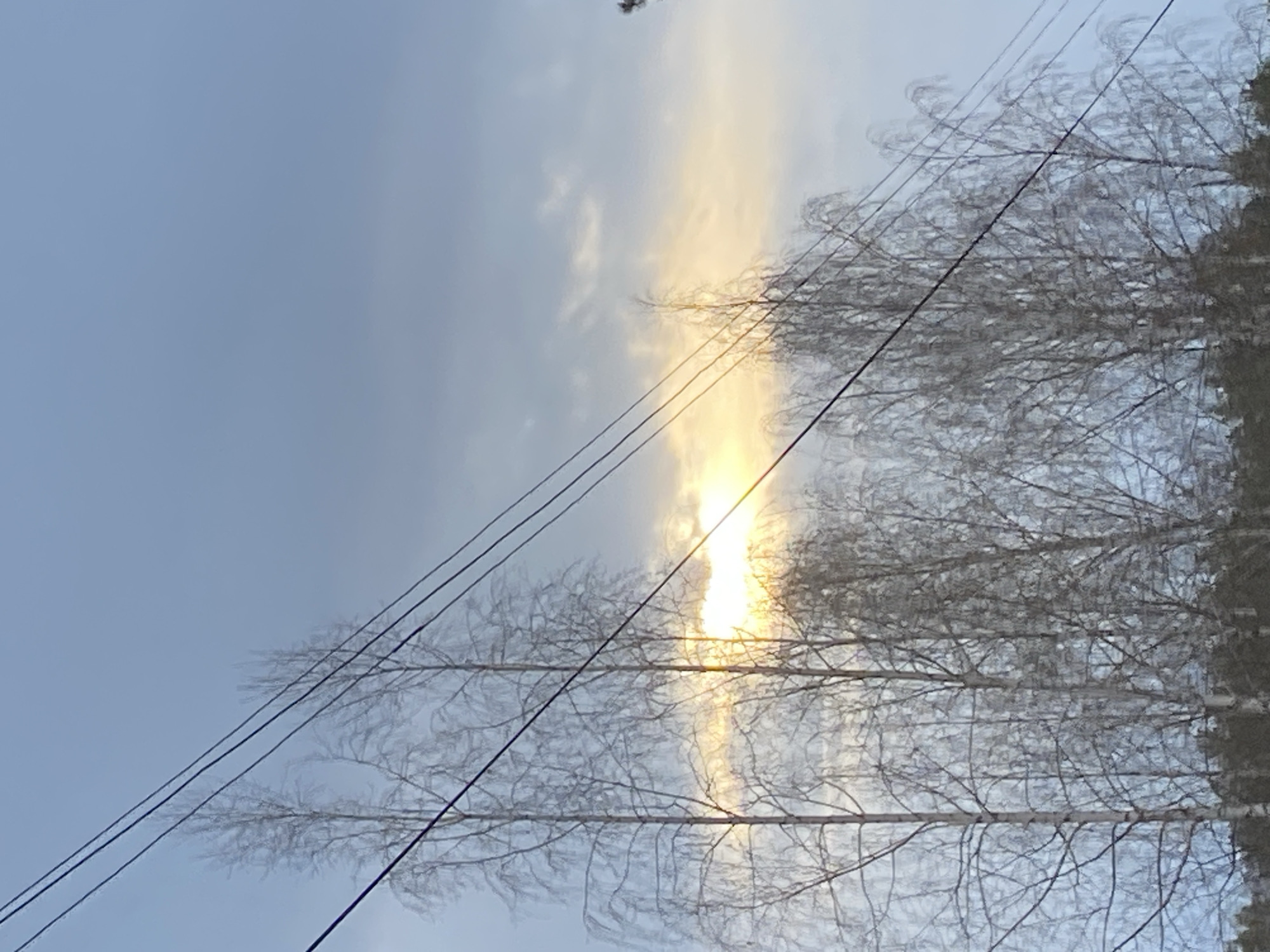 The image depicts a winter scene in Noviy Urengoy, Russia, with bare birch trees silhouetted against a pale sky. The sun shines brightly through a break in the clouds, creating a vertical band of light. Power lines run diagonally across the frame. The environment is cold and barren, typical of winter in a northern climate. There are no people visible.