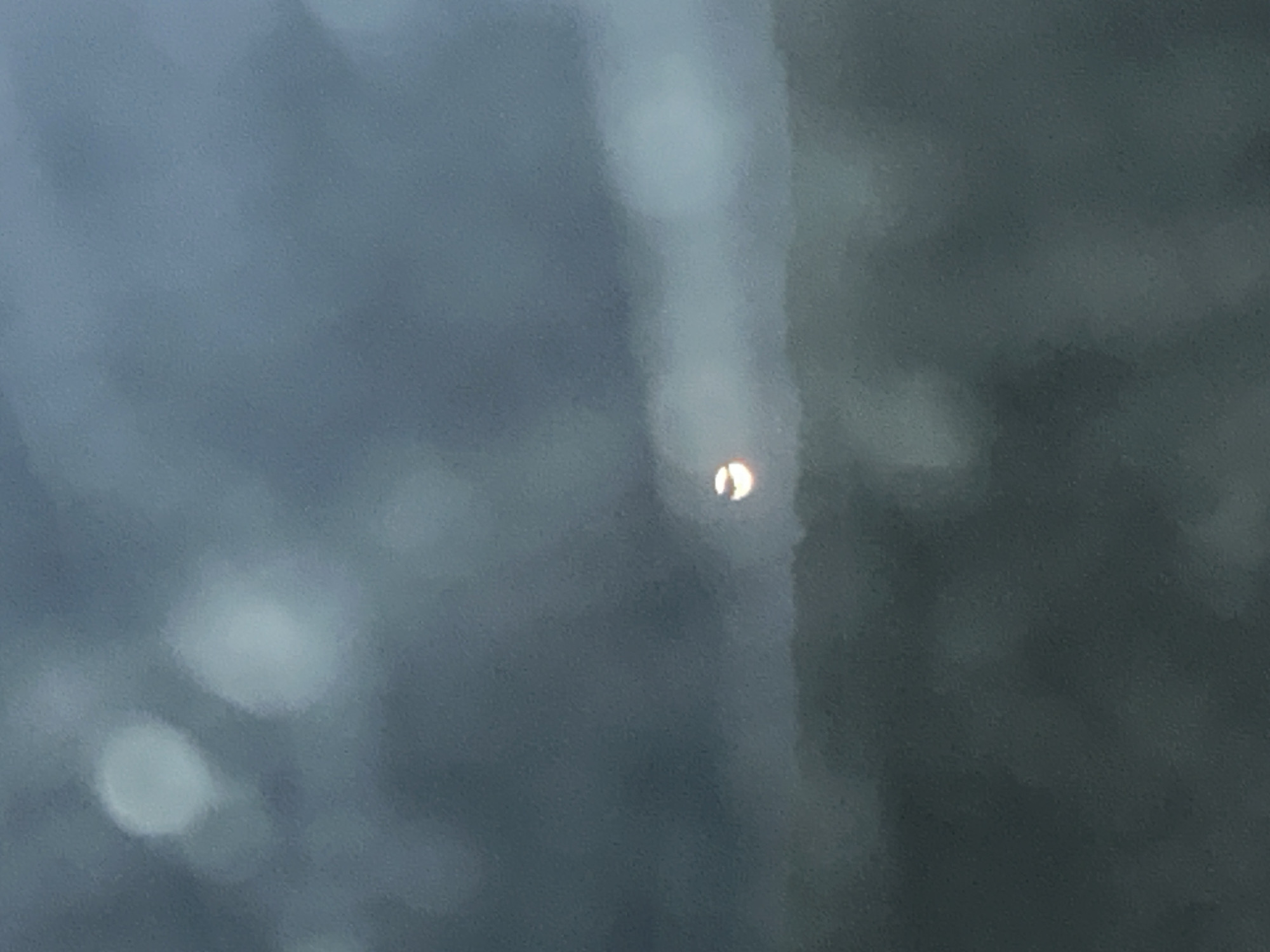 This media file is a close-up, out-of-focus photograph that appears to be taken through a pane of glass or a similar transparent surface. The dominant color palette is muted blues and grays, suggesting either a cloudy day or an indoor setting with subdued lighting.
The primary subject, though small and somewhat indistinct, is a circular object with a bright, crescent-shaped highlight. This highlight suggests a light source, possibly a reflection or a distant illuminated object. The overall blurriness of the image makes it difficult to identify the specific nature of this object or its surroundings with certainty.
There are several larger, blurred circular or oval shapes scattered throughout the frame, which are likely out-of-focus lights or reflections. A vertical, lighter-colored smudge runs down the right side of the image, which could be a streak on the surface through which the photo was taken, or part of the background.
The context provided, Tyukalinsk, Russia, does not offer specific visual cues within the image itself. The time of day and weather are indeterminate due to the blur and lack of distinct features. No people or text are visible. The image evokes a sense of subtle mystery or abstract observation, focusing on light and form rather than clear subject matter.