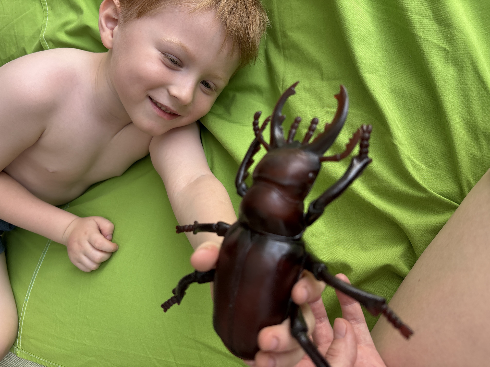 A fair-skinned, red-haired child lies on a bright green fabric, seemingly a bedsheet or blanket, looking at a large, dark brown toy beetle held in someone's hands. The child is shirtless, with the upper part of his body visible. The beetle toy is a prominent feature, with detailed textures and segmented limbs. The setting appears to be indoors, with the bright green fabric suggesting a relaxed environment. The location of the image is unknown and there is no information provided for the city of Chaikovsky, Russia.