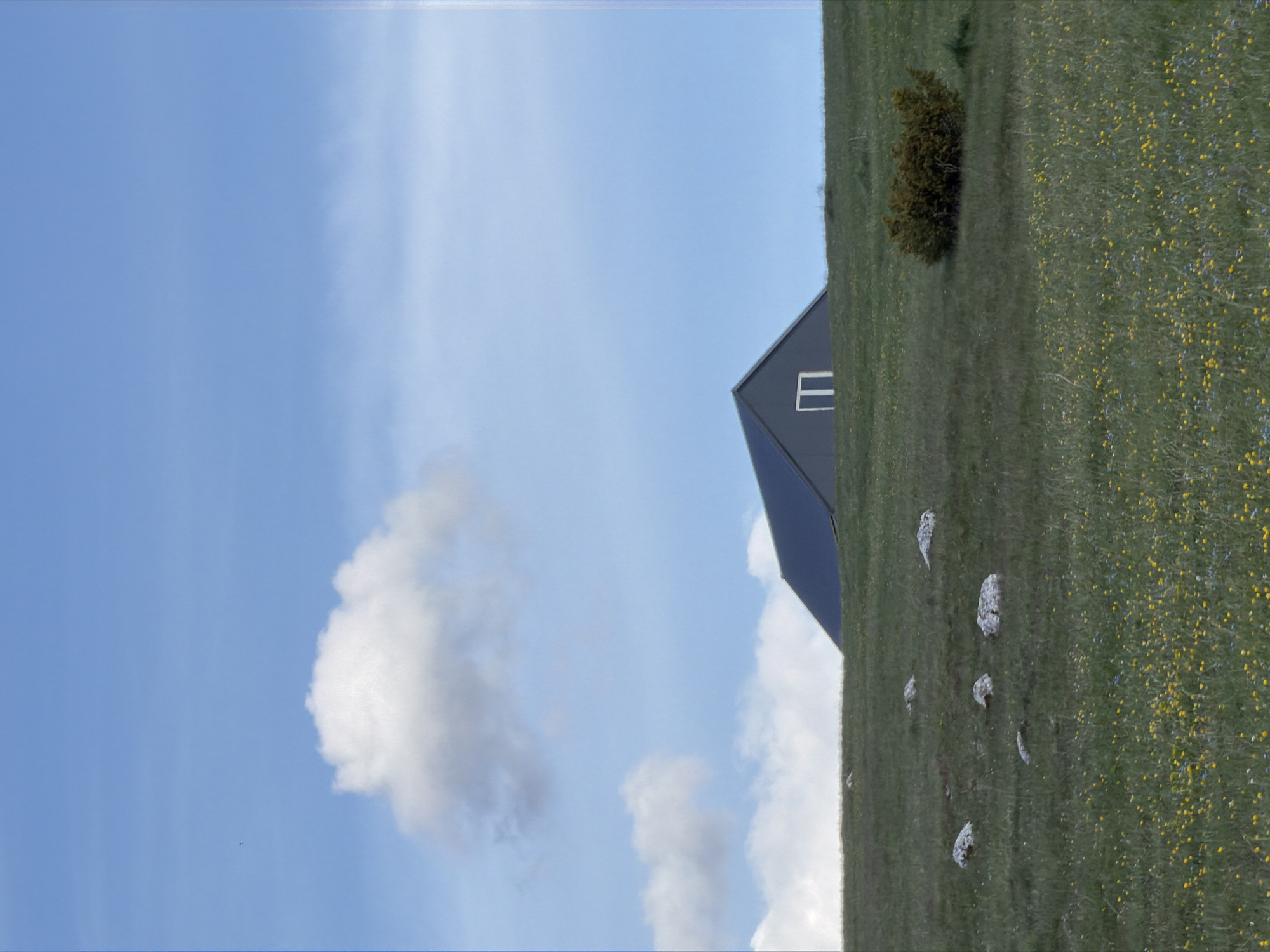 A landscape scene in Pišče, Montenegro features a contemporary dark-colored building with a single window. The building is situated on a grassy hillside interspersed with wildflowers and several rocks. A small bush is located further up the hill. The sky is partly cloudy, with blue patches visible. The image is slightly rotated.