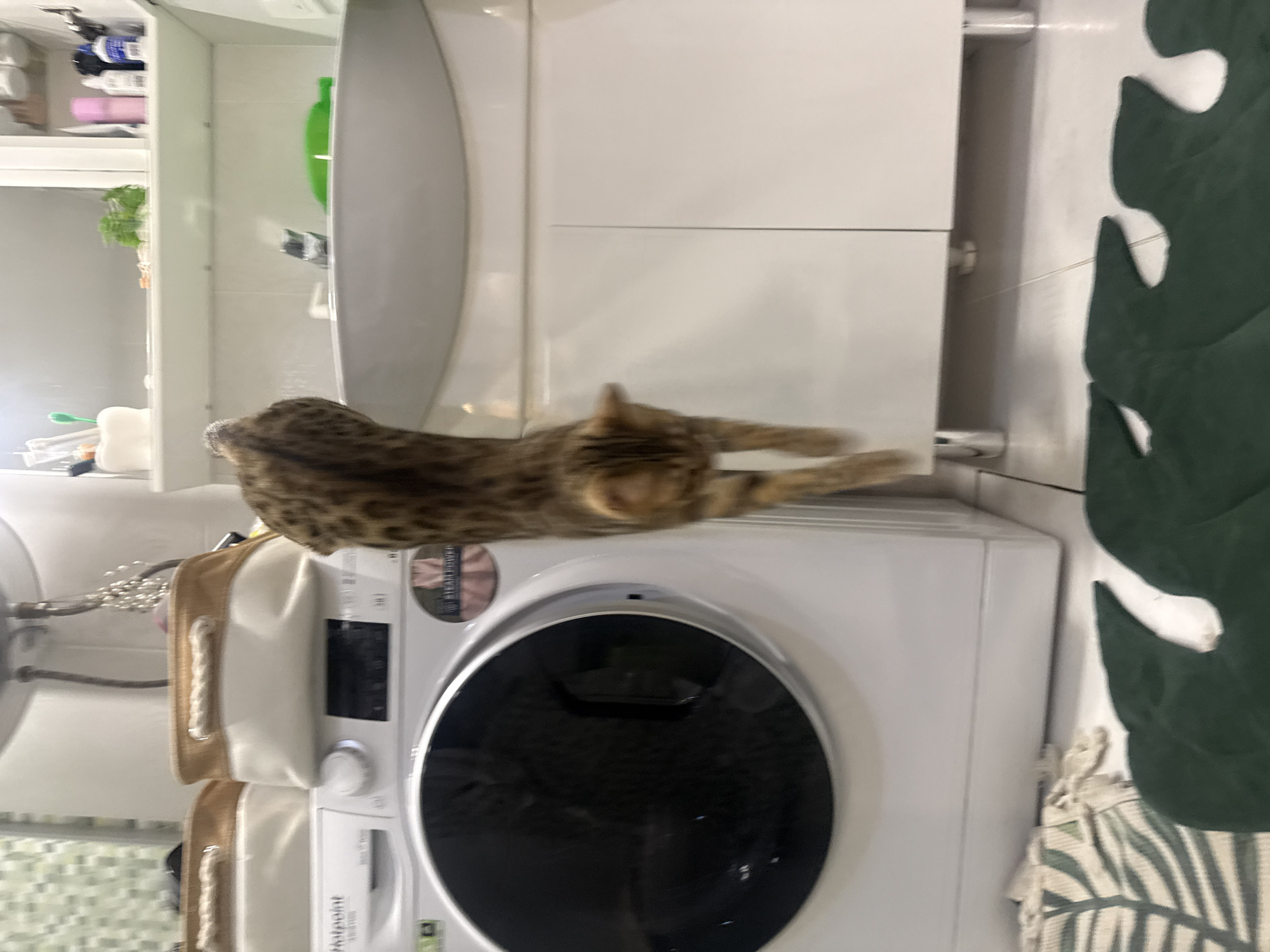 A tabby cat with pointed ears is captured mid-air in a bathroom, its body angled downwards as it appears to be jumping or climbing. The cat is positioned to the right of a white washing machine, which takes up the left side of the frame. Above the washing machine are two canvas storage baskets. To the right of the washing machine is a white vanity with a sink and faucet, and a cabinet below. The environment suggests a domestic setting, likely a bathroom. There are no people visible in the image. The location is not discernible from the image itself, and therefore cannot be specified as Partenit, Ukraine.