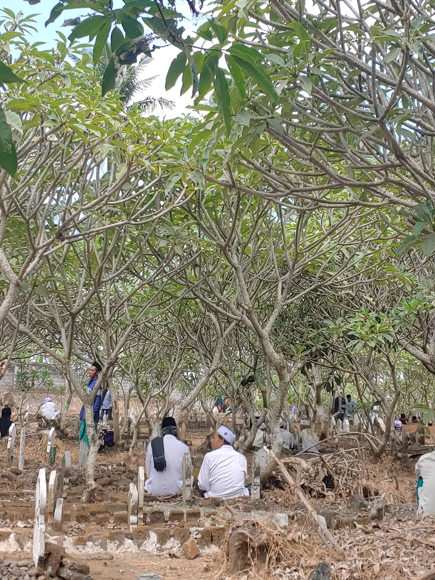 The image depicts a cemetery in Kembang Kerang, Indonesia, characterized by numerous gravestones and densely planted trees with intertwined branches, creating a canopy overhead. Several individuals are present, dressed in traditional Islamic attire, including some wearing white robes and skullcaps. Some are seated or standing near the graves, suggesting they are visiting or attending to the burial sites. The ground is covered with dry leaves, rocks, and brick debris. The overall scene suggests a somber or reflective atmosphere within the cemetery.
