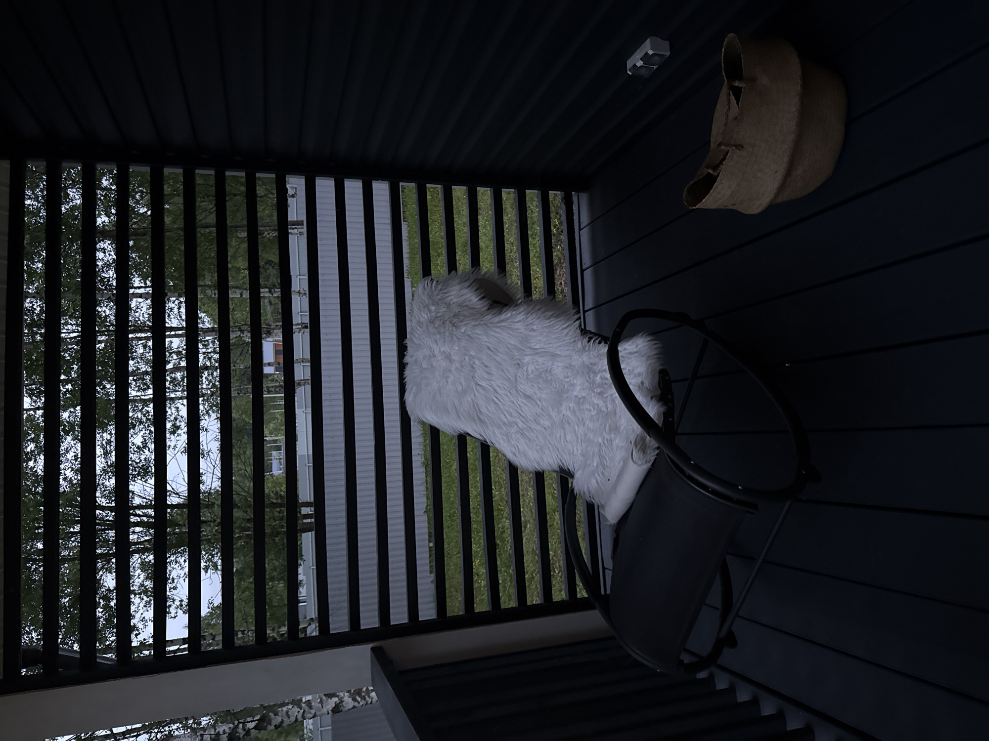 The image depicts a partially enclosed porch or balcony, possibly in Buzhaninovo, Russia, given the request. The porch has a dark, horizontally-paneled ceiling and a railing constructed of vertical black bars. A chair with a black frame and a white, fluffy cushion rests on the dark-colored deck. A woven basket hangs on the wall near the ceiling. Through the railing, trees and a light-colored building can be seen.