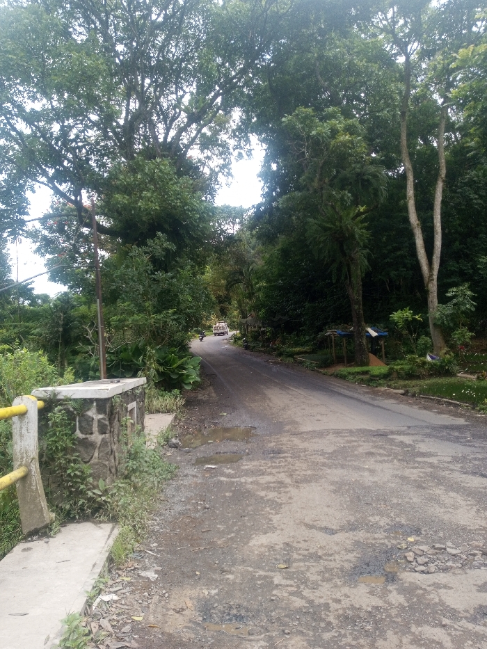 The scene depicts a worn paved road traversing a heavily vegetated area in Sarwahi Mal., India, observed during daylight hours. The road, showing signs of disrepair with potholes and exposed gravel, stretches from the foreground, gently curving left, and ascends into the distant dense foliage.
On the immediate left, a stone and concrete bridge barrier or retaining wall, partially overgrown with weeds and vines, features a yellow metal rail along its top. Beyond this barrier, dense green vegetation descends, obscuring the ground below. Further along the left side of the road, a utility pole stands amidst the abundant greenery.
The right side of the road is bordered by dense trees and undergrowth. Several small, rudimentary structures are visible set back from the road; these feature poles supporting blue tarpaulin roofs, resembling temporary stalls. One stall has a pile of light-colored material, possibly sand or gravel, beneath its canopy.
In the mid-distance on the road, a light-colored van or small truck travels away from the viewer, followed closely by a motorcycle. The sky is partially visible through the dense canopy of large trees that dominate the upper frame, providing diffuse light. The overall environment is rural or semi-rural, characterized by lush tropical or subtropical vegetation. No individuals are clearly identifiable.