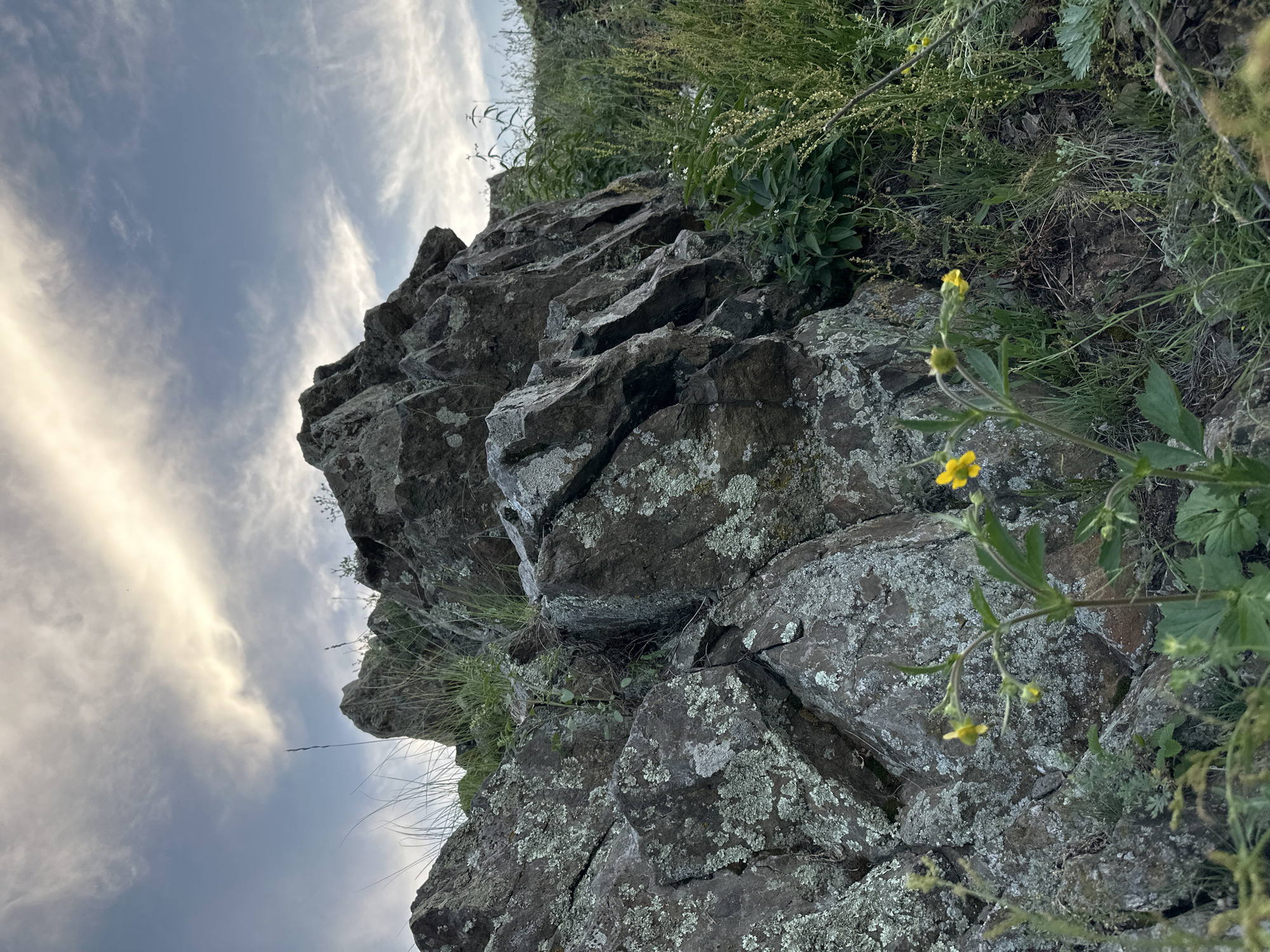 The image captures a low-angle, outdoor view of a rocky cliff face with sparse vegetation. The rocks are dark gray and appear weathered, with patches of light-colored lichen growing on their surfaces. Several small, yellow wildflowers are in bloom amongst the rocks and greenery. The vegetation consists primarily of grasses and leafy plants, some of which are tall and appear to be in seed. The sky above is a mix of blue and gray clouds, with streaks of white clouds that suggest movement or wind. The overall lighting indicates it is likely late afternoon or early evening, as the light appears soft and diffused. The scene evokes a sense of natural beauty and ruggedness, with the delicate flowers contrasting against the harshness of the rocks. There is no visible text in the image.