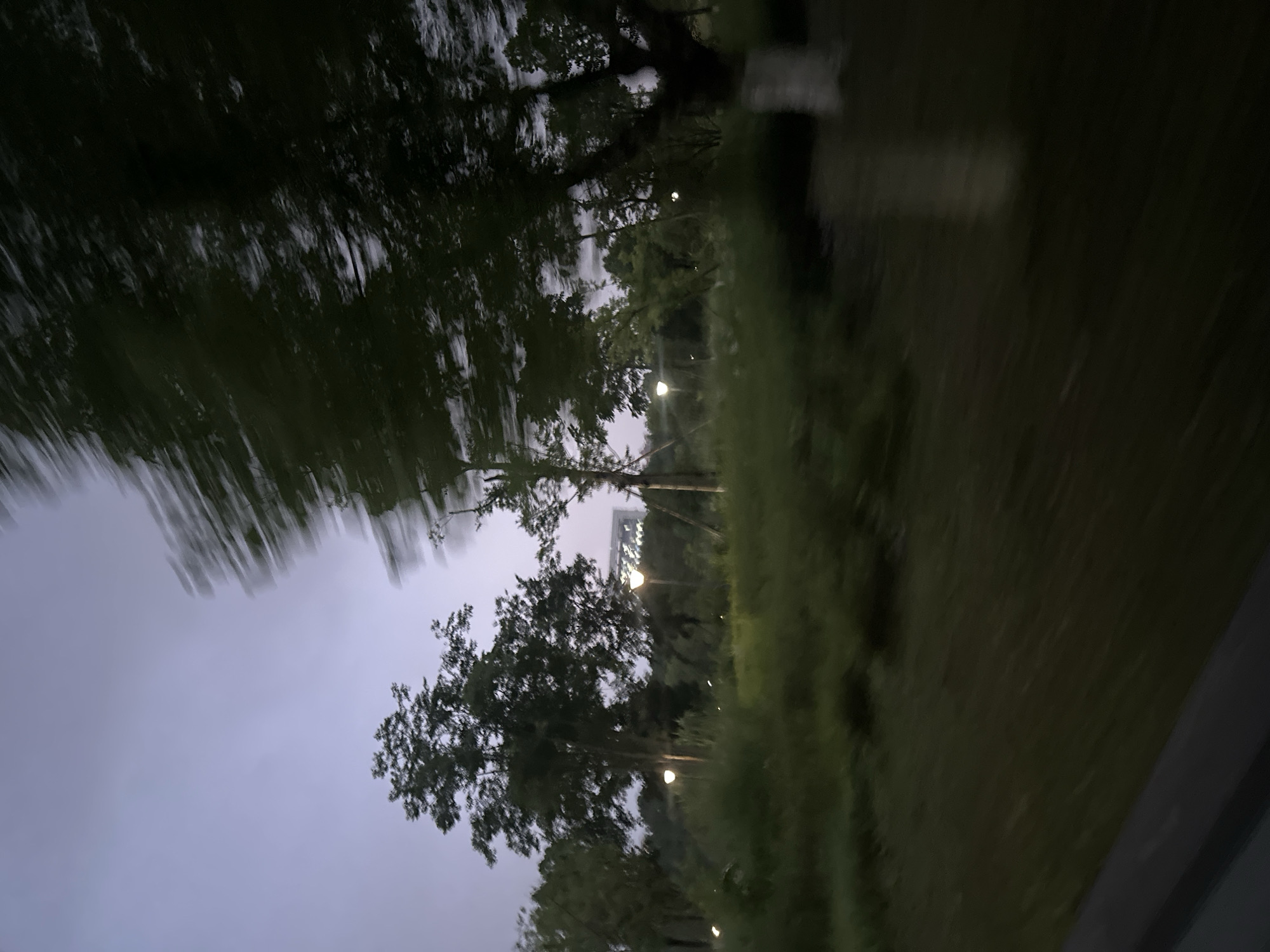 The image captures a motion-blurred scene of a park-like environment with trees and lights, taken at dusk. The location is identified as Chongqing High-tech Zone, China. In the foreground, there is a blurred indication of a paved surface, possibly a road or pathway, and a grassy area. Several lampposts are visible, some illuminated, casting a soft glow on the surrounding vegetation. In the mid-ground, a cluster of trees stands, with one particularly large tree on the right side of the frame, its trunk partially whitewashed. In the background, more trees and a building with illuminated windows can be seen. The sky is a dusky purple-grey, typical of twilight. The motion blur suggests the photo was taken from a moving vehicle.
