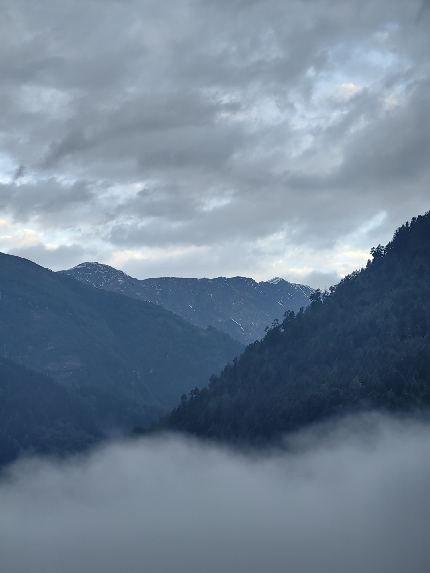 A vertical shot captures a mountainous landscape shrouded in mist and clouds. The foreground is dominated by a thick layer of white mist, obscuring the ground below. Behind the mist, dark green, densely forested mountains rise steeply. Further in the distance, additional mountain ranges are visible, with some peaks showing patches of snow and rock. The sky above is filled with a heavy, gray cloud cover, with hints of lighter sky peeking through in some areas. The scene is one of atmospheric drama and natural grandeur. The location is Vashisht, India.