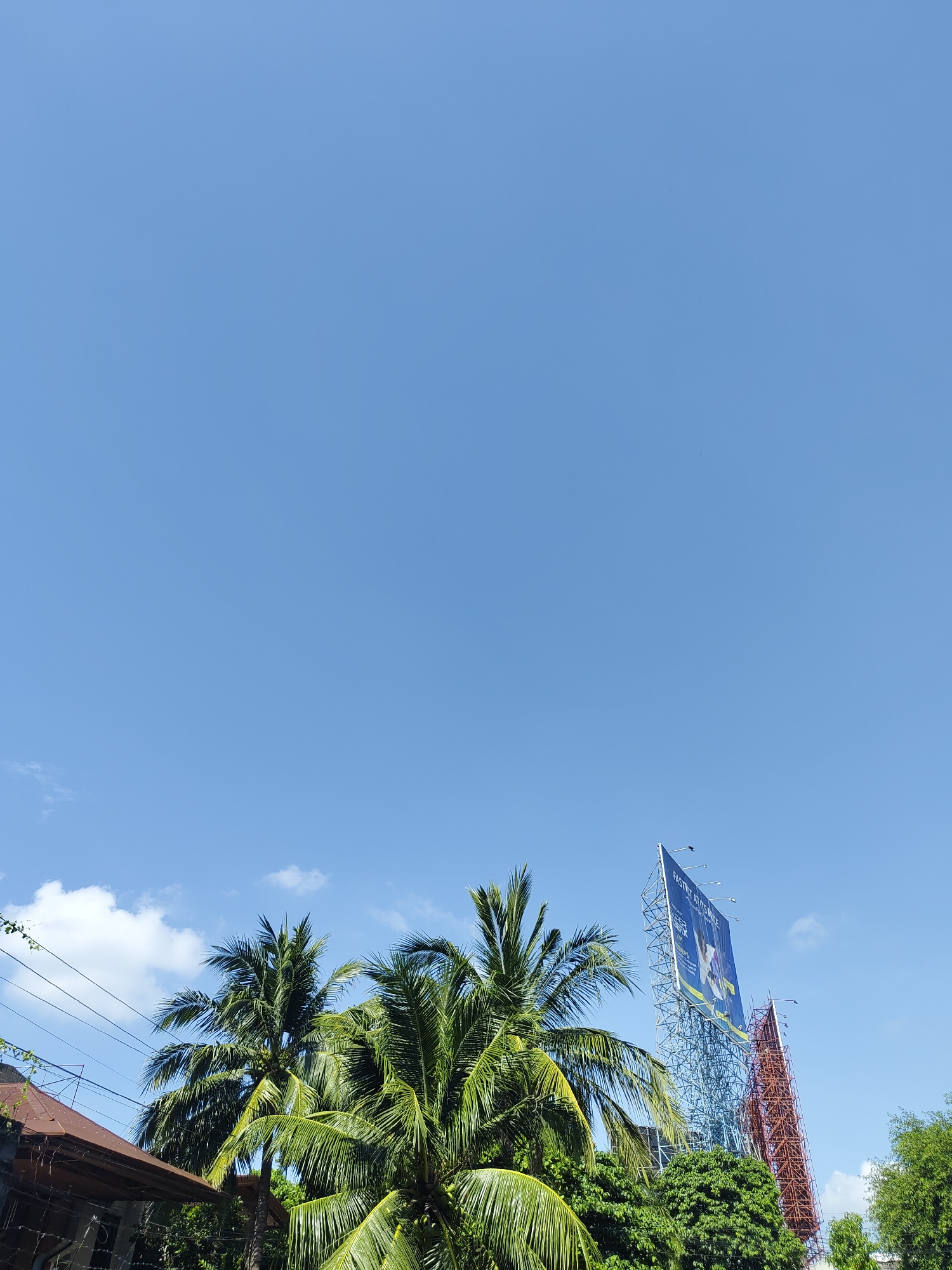 This daytime photograph presents a vibrant, clear blue sky dominating the upper two-thirds of the frame, indicative of bright, sunny weather with only a few wispy white clouds visible at the bottom. The scene depicts a landscape typical of an urban or semi-urban area in Davao City, Philippines.
In the lower portion of the image, lush green palm trees with prominent fronds are a central subject, highlighting the tropical setting. To the left, a section of a building's brown roof is visible, alongside utility wires strung across the frame.
A prominent feature on the right is a very large billboard supported by a tall, intricate blue metallic lattice structure. The billboard displays a blue background with a dynamic image of a person in motion. Visible text on the billboard includes "FASTEST A..." and a large percentage sign "%". Adjacent to this, a tall red structural tower, likely a support for another billboard or a communication tower, rises into the sky. Additional green foliage and trees are visible beneath and around these structures. No specific activity or event is taking place; the image captures a static outdoor scene under clear conditions.