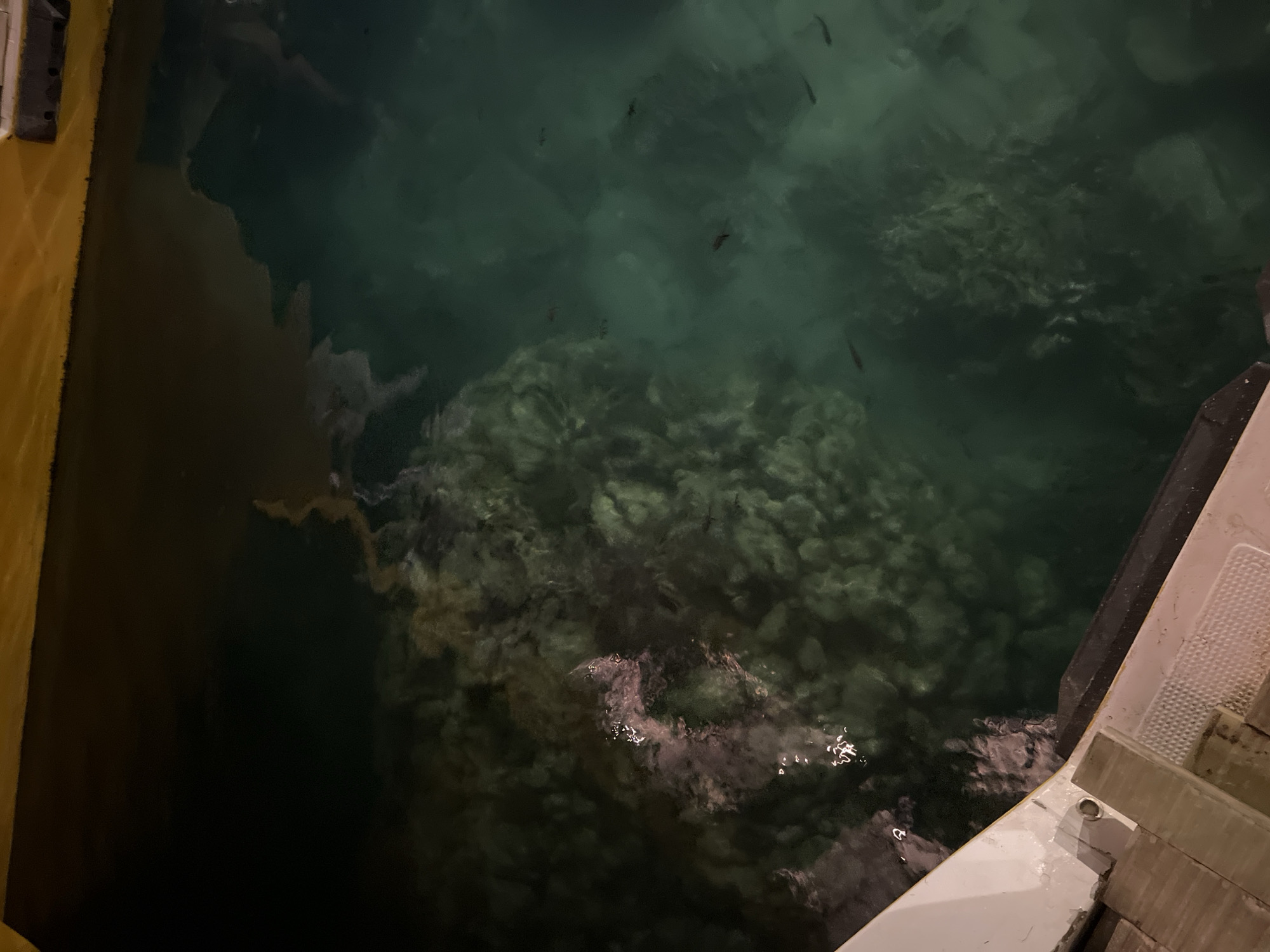 A high-angle, close-up, shot captures a dark body of water with a visible coral reef structure below the surface, located near a wooden dock with a yellow railing. The water transitions from dark brown in the upper left to a clear, emerald green in the lower right. Scattered throughout the green water are small, dark fish. The scene is dimly lit, suggesting it is either dawn, dusk, or nighttime. This vista is characteristic of the shallow, clear waters surrounding the islands of Karimunjawa, Indonesia, known for their vibrant coral ecosystems and abundant marine life.