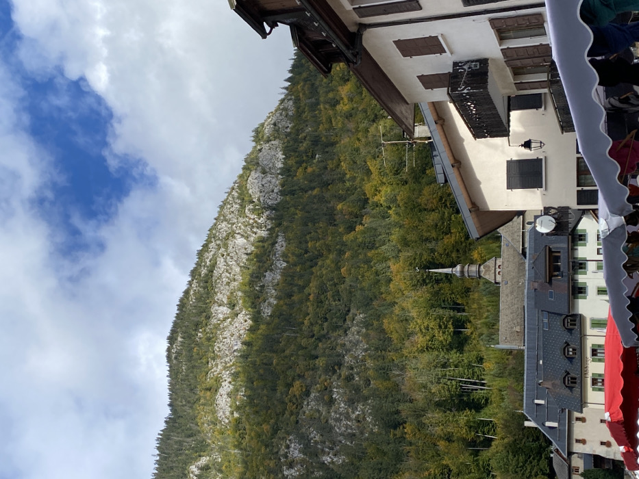 The image displays a village scene in Abondance, France, situated at the base of a large, steep mountain under a partially cloudy sky. The mountain, occupying the upper two-thirds of the frame, is heavily forested with a mix of coniferous and deciduous trees, exhibiting green and yellow autumnal foliage, interspersed with significant grey rock outcrops.
In the mid-ground, the distinctive dark, multi-tiered spire and large dark-tiled roof of Abondance Abbey are visible, with a weather vane at the spire's apex. Surrounding the abbey are traditional alpine-style buildings, characterized by light-colored (white/cream) facades, dark roofs, and numerous windows fitted with dark brown or green wooden shutters. A building on the right features a dark, ornate wooden balcony and an antique-style black street lamp mounted on its exterior wall. A white satellite dish is affixed to a roof in the lower-mid ground, to the left.
The foreground is filled with the upper sections of market stalls, indicated by their large fabric awnings. A prominent red awning is visible on the left, alongside grey and white scalloped awnings extending across the bottom of the frame, obscuring ground-level views, activity, and any potential individuals.