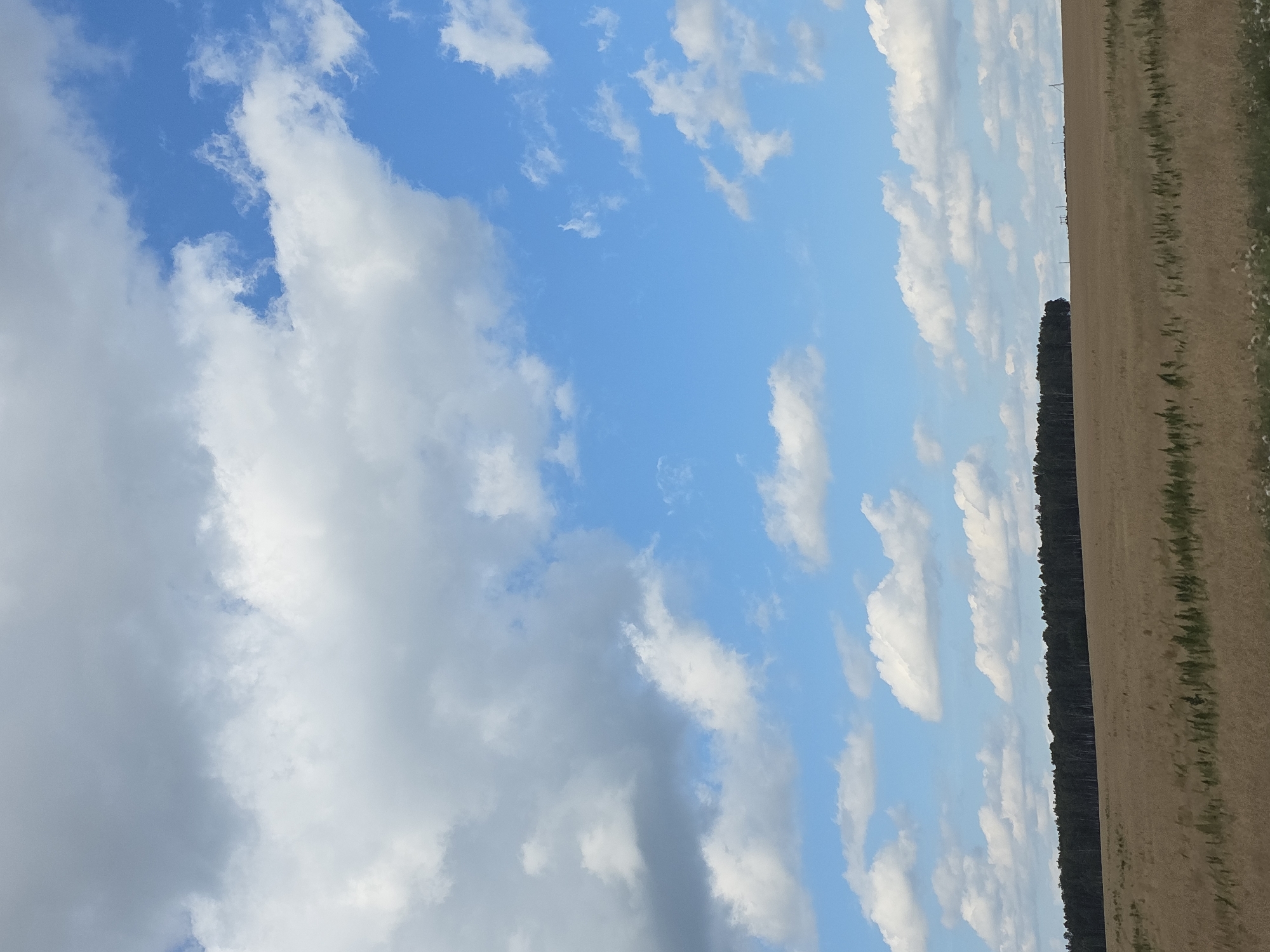 An outdoor, eye-level, full shot captures a vast, open landscape under a dynamic sky. The upper two-thirds of the image is dominated by a bright blue sky filled with a mix of large, fluffy white clouds and smaller, scattered white clouds. The lower third of the image depicts a flat, dry, golden-brown field stretching horizontally across the frame. In the distance, a dense, dark green treeline forms a distinct horizontal band along the horizon. The treeline appears to be a forest. The field in the foreground is textured with dry grass and some scattered, darker green vegetation. There are no people or animals visible in the scene. The overall impression is of a wide, open, rural or natural environment. The location is the city of Kuluevo, Russia.