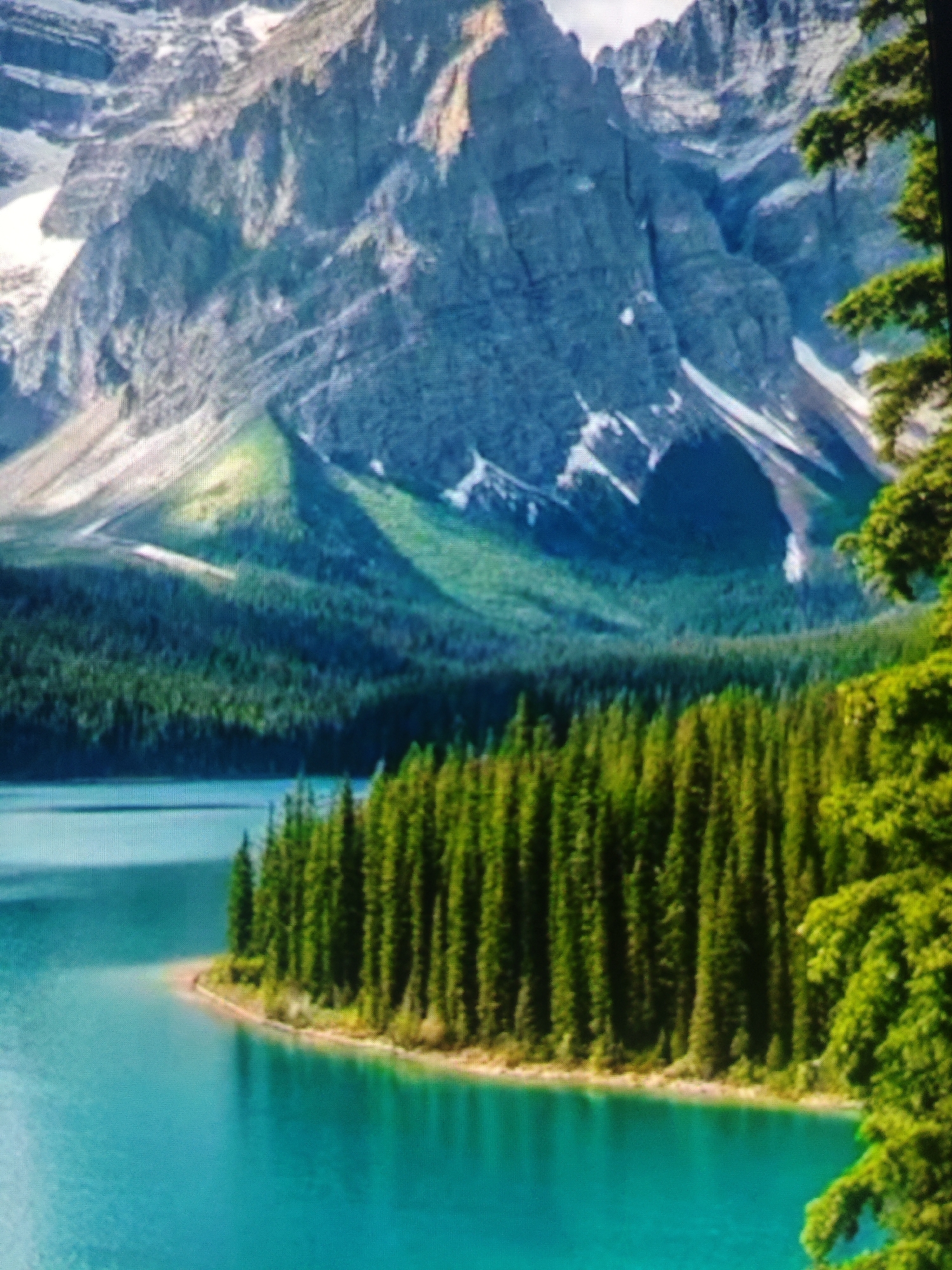 The image displays a serene mountain landscape with a vibrant turquoise lake in the foreground. Tall, dense evergreen trees line the shore of the lake, forming a striking contrast with the rugged, snow-capped mountains in the background. The mountains are majestic and imposing, with rocky outcrops and patches of snow clinging to their slopes. The sky is a soft, muted blue, suggesting a clear day. The overall impression is one of natural beauty and tranquility. It is important to note that this image is not of Krasnaya Polyana, Russia.