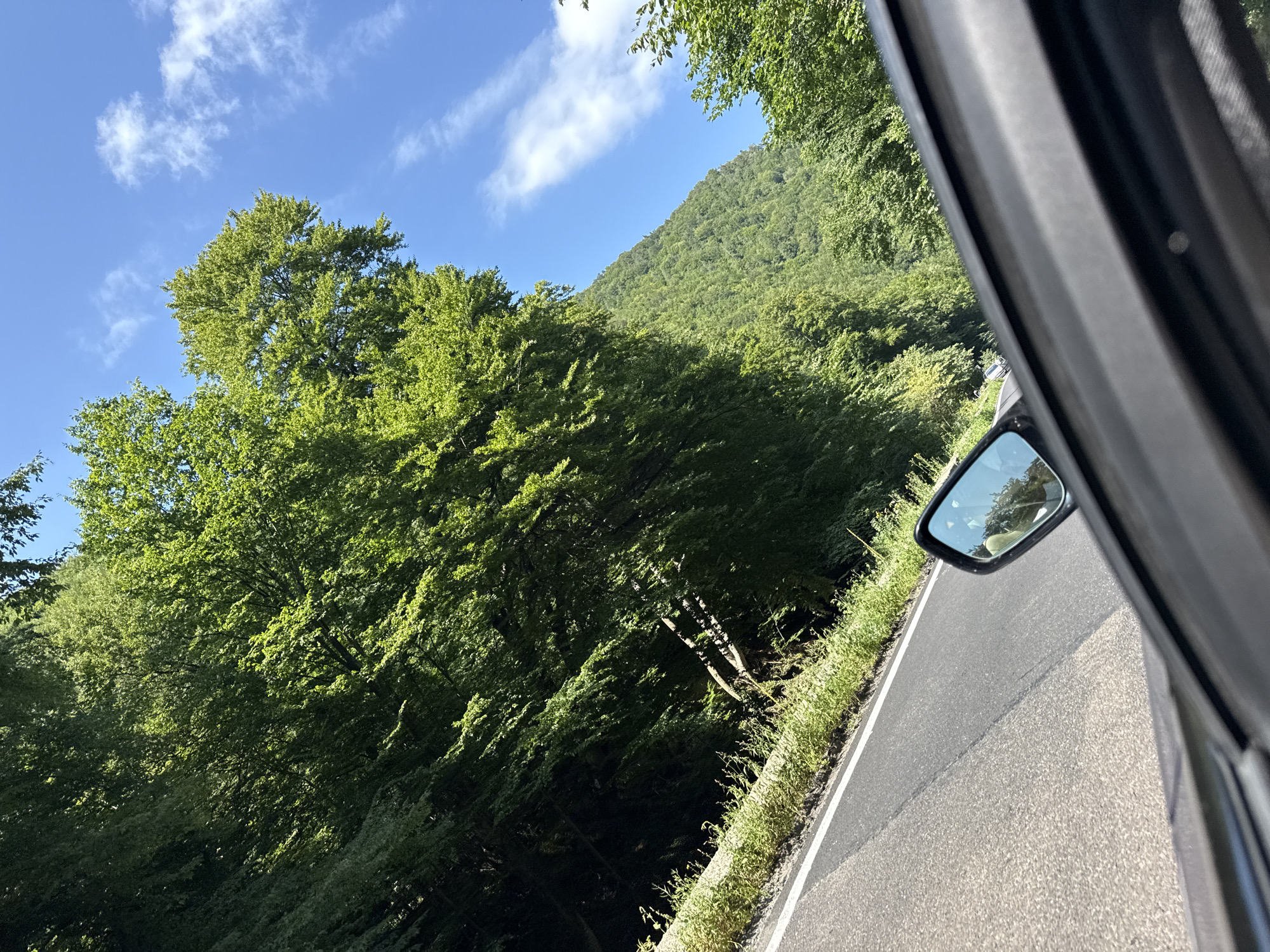 This image captures a scenic drive through a mountainous region, likely in Poiana Sărată, Romania, given the lush green forests and clear blue sky with scattered clouds. The perspective is from inside a vehicle, showing the asphalt road with a white line marking its edge. To the left of the road, a dense forest of tall trees with vibrant green foliage lines the slope of a mountain. A side-view mirror of the car is visible on the right, reflecting the surrounding greenery and sky. The sunlight casts shadows, indicating it is daytime. No people are directly visible in the image.