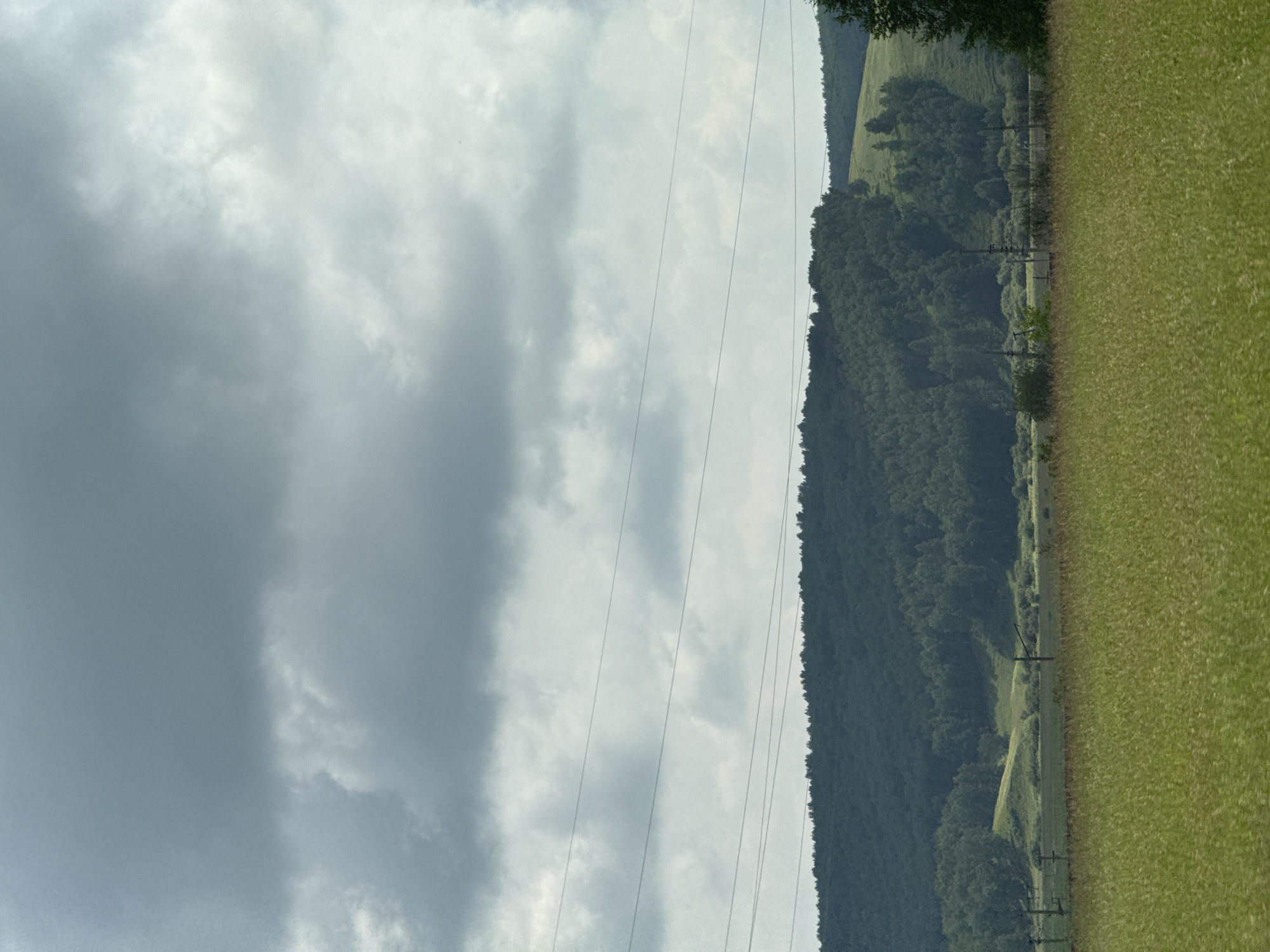 A wide shot captures a cloudy sky above a rolling, forested hill and a field of tall grass. In the mid-ground, several utility poles and wires stretch across the landscape. The scene appears to be in Nalobino, Russia, based on the provided information. The overall atmosphere is serene and natural.