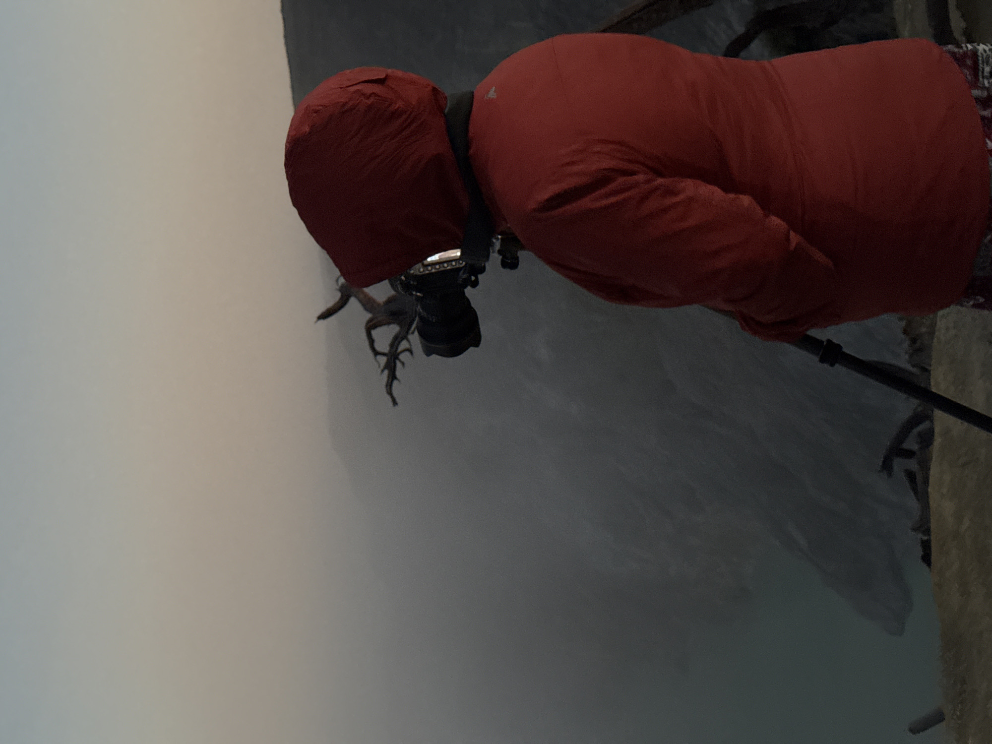 In an outdoor environment at sunrise or sunset, a person wearing a red hooded jacket and patterned pants stands on a cliff edge, facing away from the camera and looking out over a misty landscape. The person is holding a camera with a lens and a cage attached, positioned on a tripod. The background consists of a hazy, mountainous terrain with a body of water visible in the lower left. The sky above is a gradient of light blue and pale orange. The overall scene suggests the person is a photographer capturing the landscape.