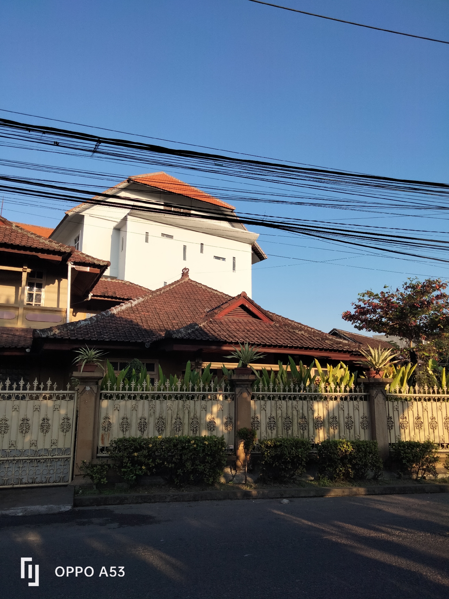 In Denpasar, Indonesia, a street-level view captures a residential property under a clear blue sky, bathed in the warm light of either sunrise or sunset. Overhead, a dense network of black utility wires crisscrosses the frame, obscuring portions of the sky and creating a sense of urban density.
The main structure is a multi-story building, predominantly white, with a red-tiled roof. Its architecture appears modern, with minimalist rectangular windows. In front of this, a lower, older building features a yellow-brown facade and a traditional red-tiled roof with ornate trim. This building has visible windows with white frames and what appear to be patterned shutters or grilles.
A decorative white metal fence runs along the front of the property, separating it from the street. This fence is adorned with intricate scrollwork and finials. Behind the fence, well-maintained bushes and potted plants, including spiky succulents, line the walkway. A large tree with reddish-brown leaves stands to the right, adding a splash of color to the scene.
The street in the foreground is paved and appears to be asphalt, with shadows from the utility wires and foliage cast across it, indicating the low angle of the sun. The overall impression is of a well-kept residential area in an Indonesian city, with a juxtaposition of older and newer architectural styles and the ever-present infrastructure of overhead power lines. The bottom left corner of the image displays the text "OPPO A53," indicating the device used to capture the photograph.